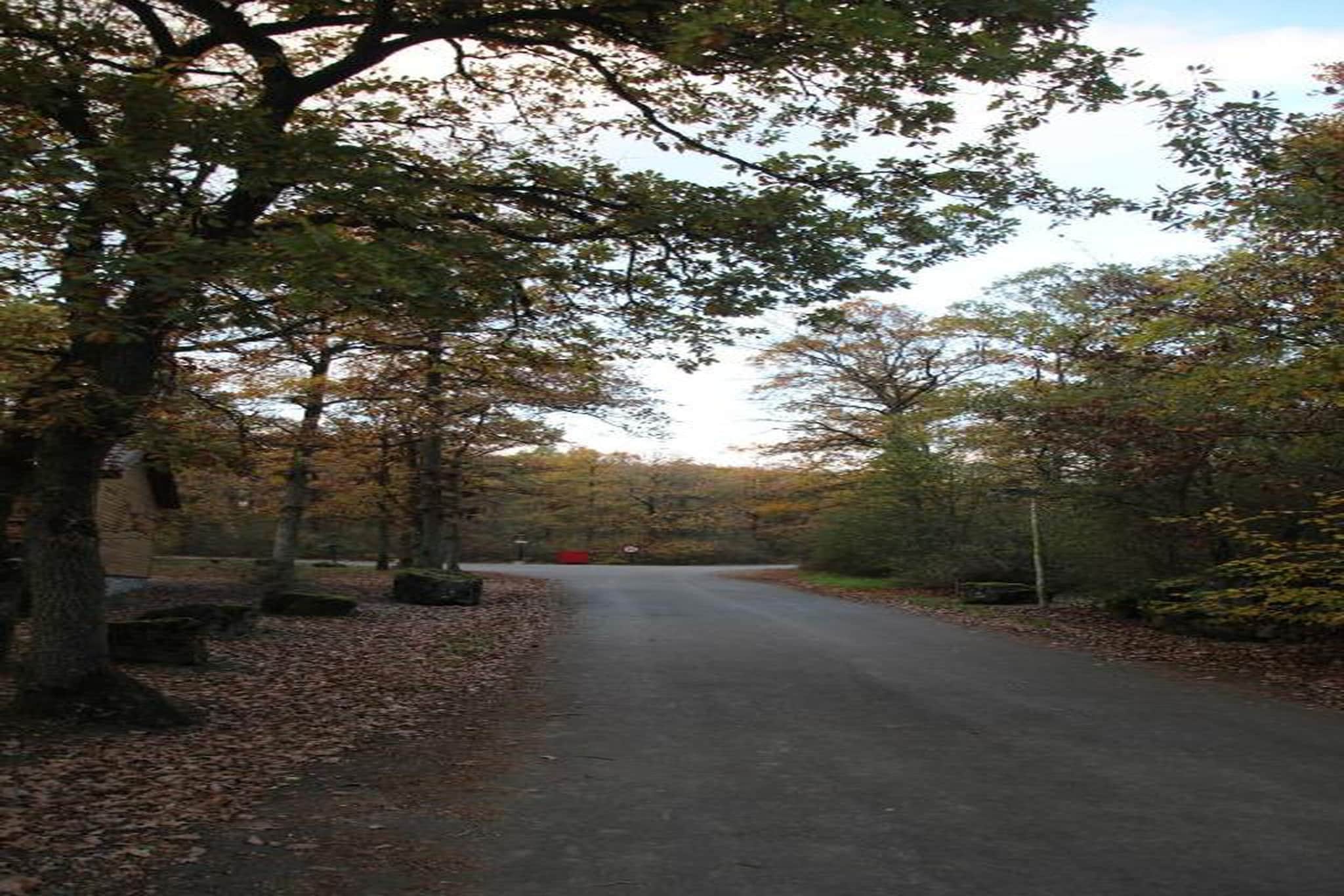 Le Cerf Volant-Areas summer 20km