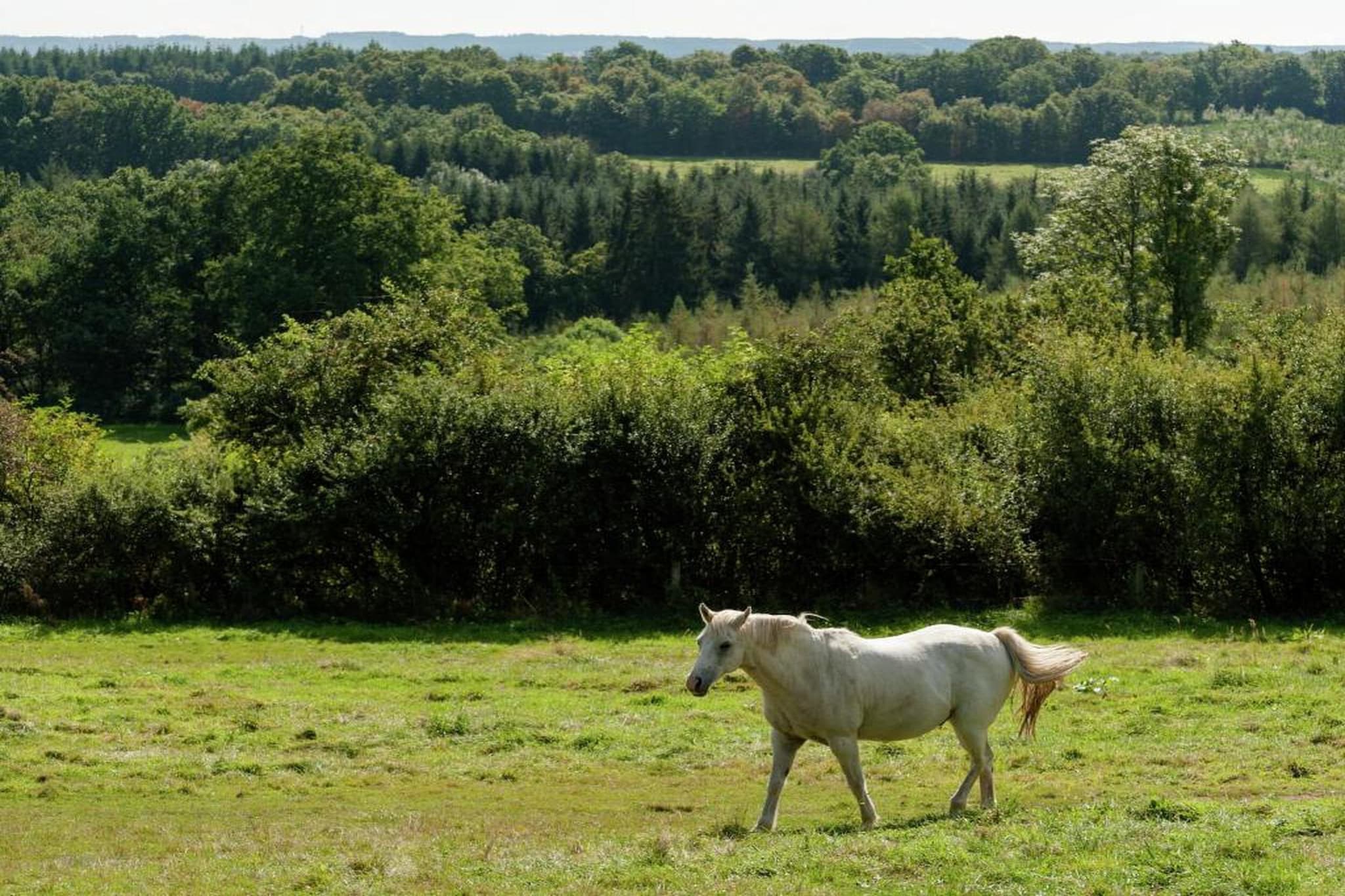 Le Cerf Volant-Areas summer 20km