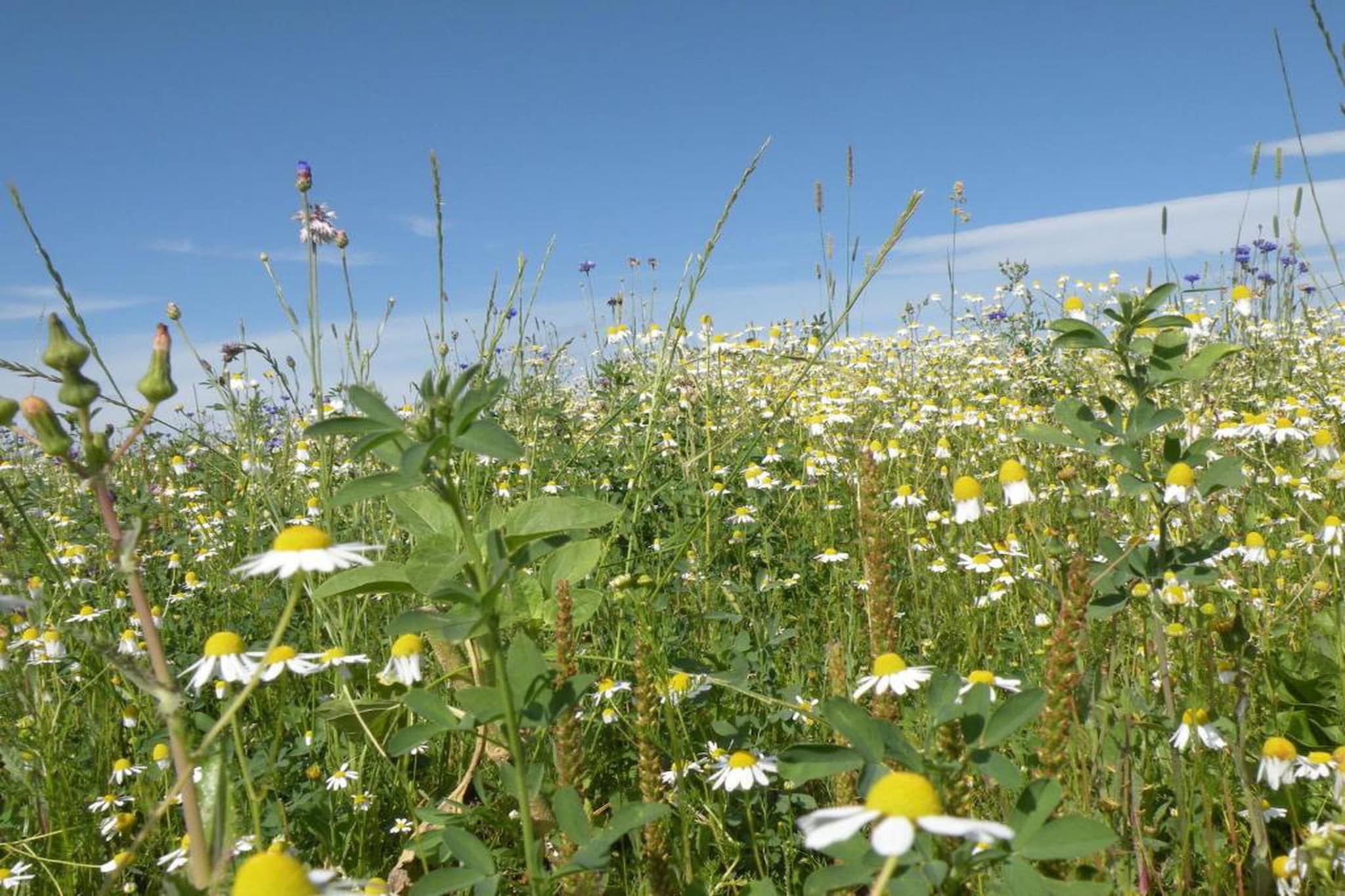 Les Rochettes Mars-Gebiete Sommer 20 km