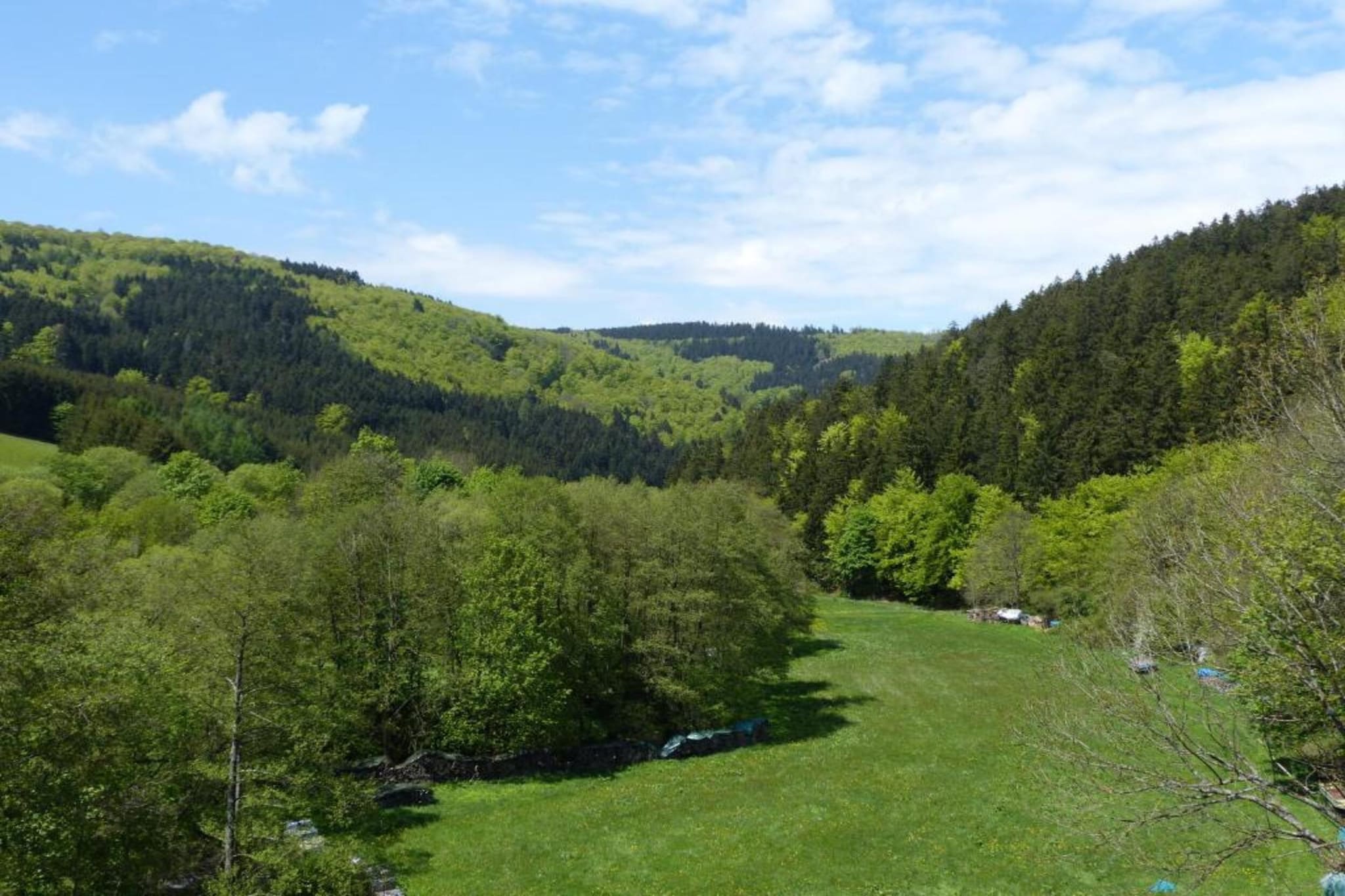 Appartement Willingen-Gebieden zomer 20km