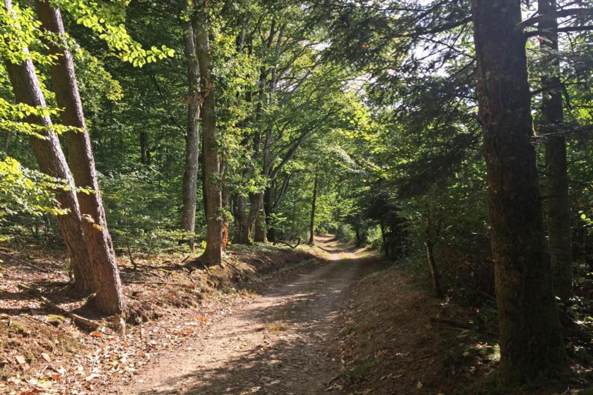 L'Ecole-Gebieden zomer 5km