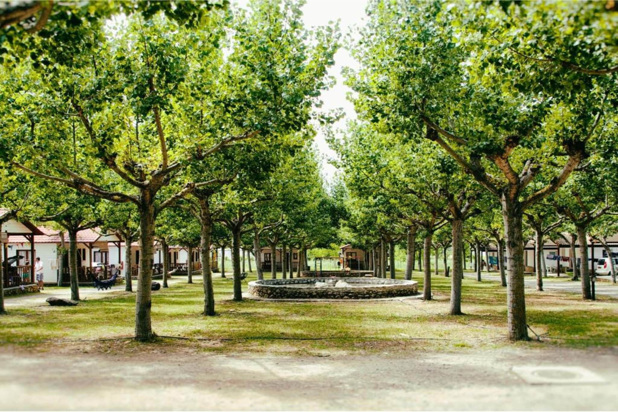 Vakantiepark Isábena 7-Gebieden zomer 20km