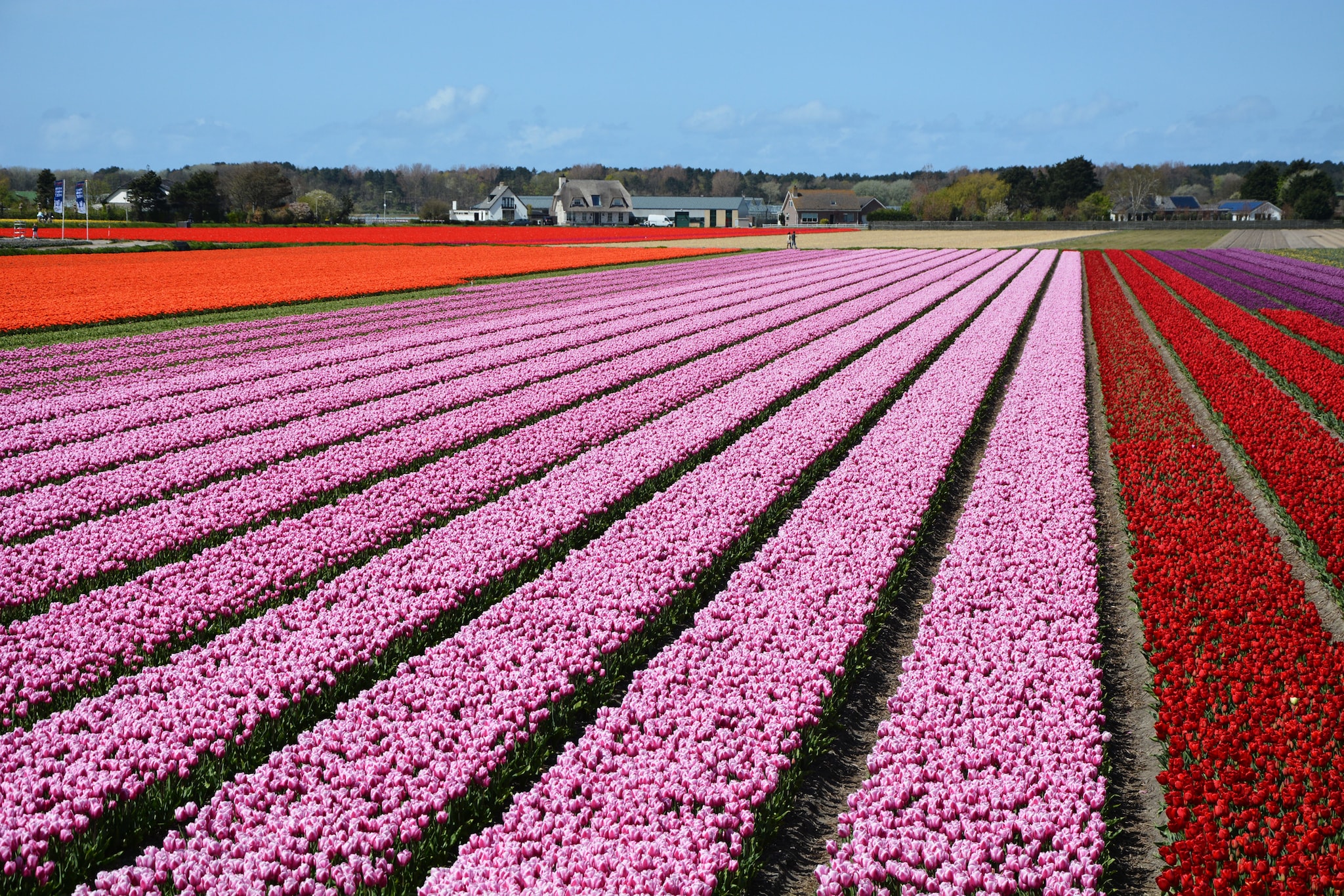Marie aan Zee-Gebiete Sommer 5 km