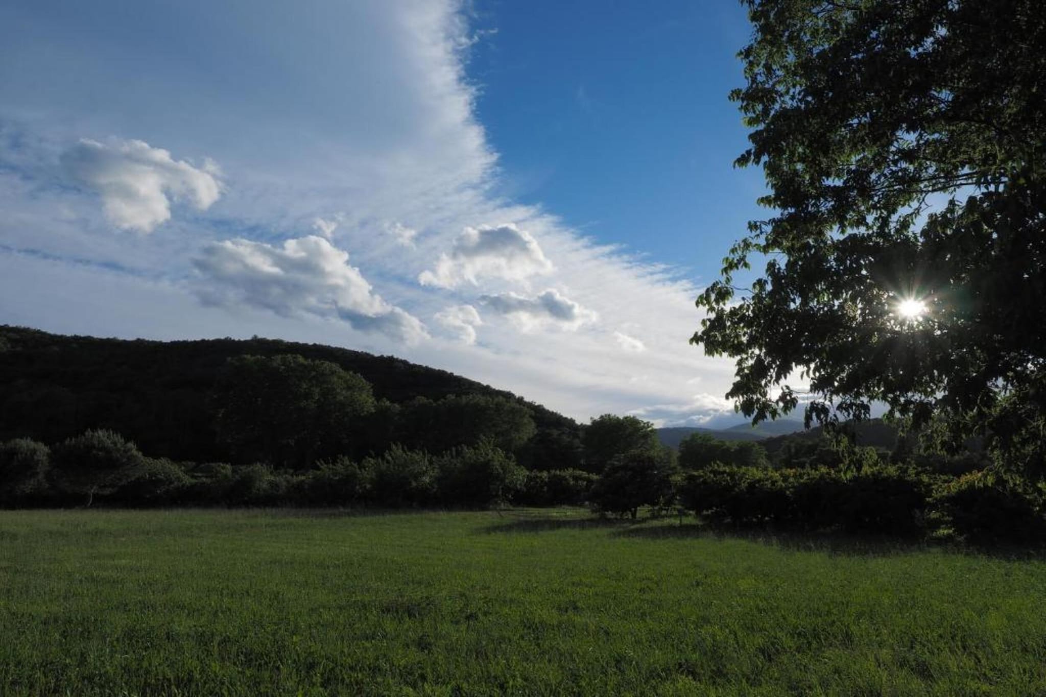 Chalet Panoramique-Gebieden zomer 20km