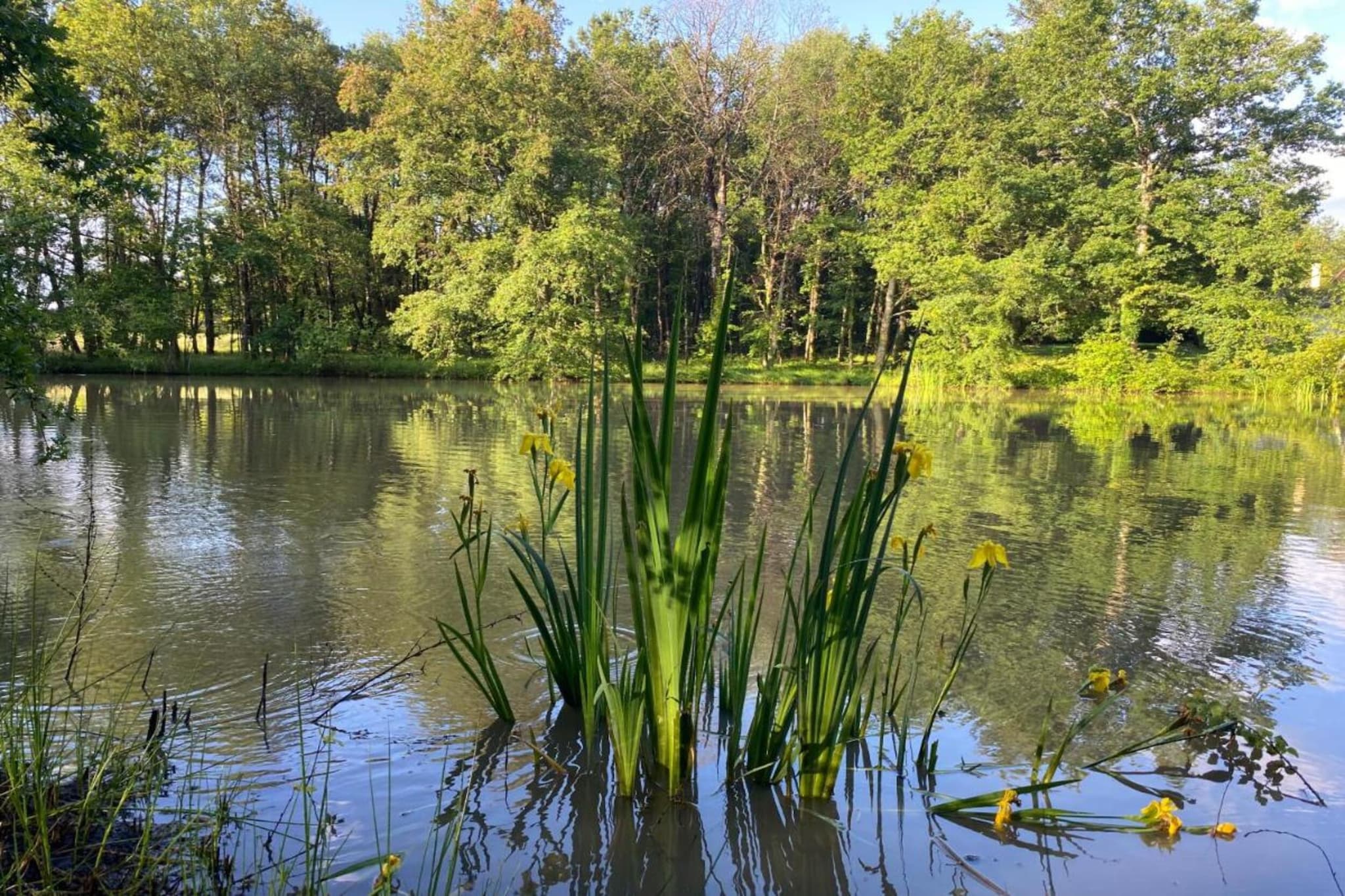 Maison Le Perrot-Gebieden zomer 20km