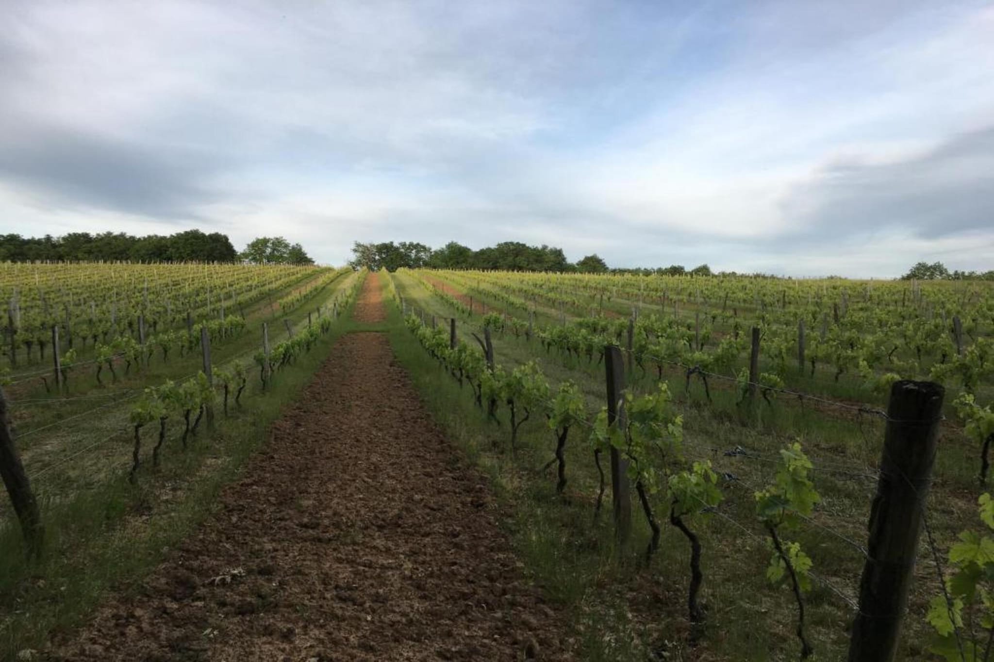 Maison Le Perrot-Gebieden zomer 20km