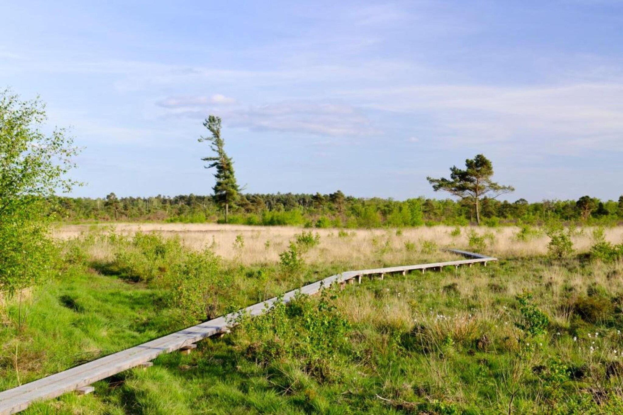 Huus in 't Hagt-Gebieden zomer 20km