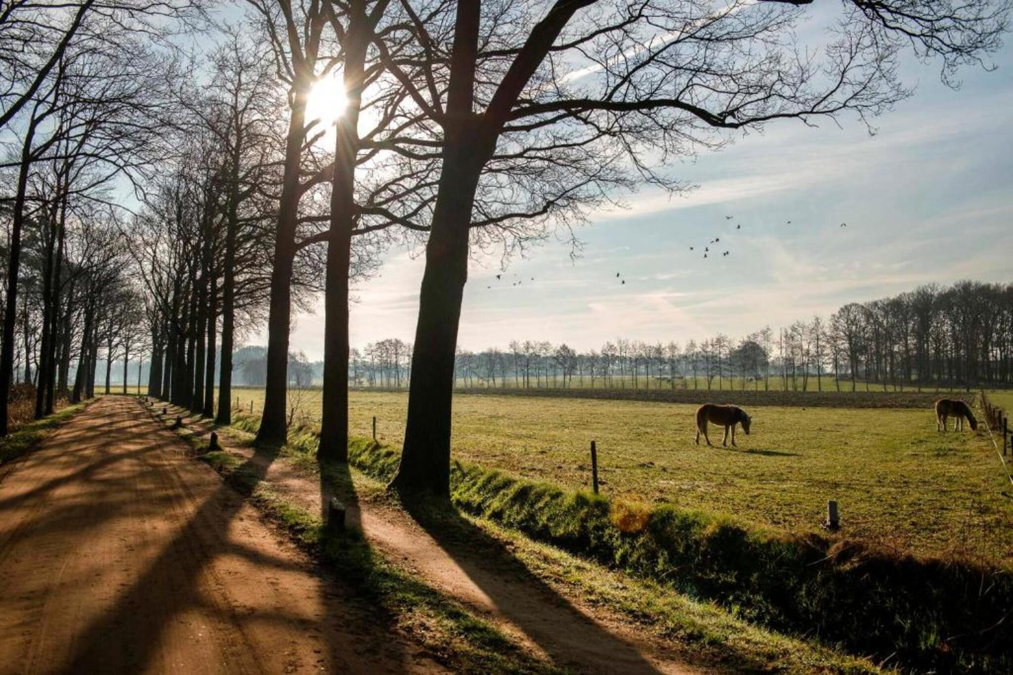 Huus in 't Hagt-Gebieden zomer 20km