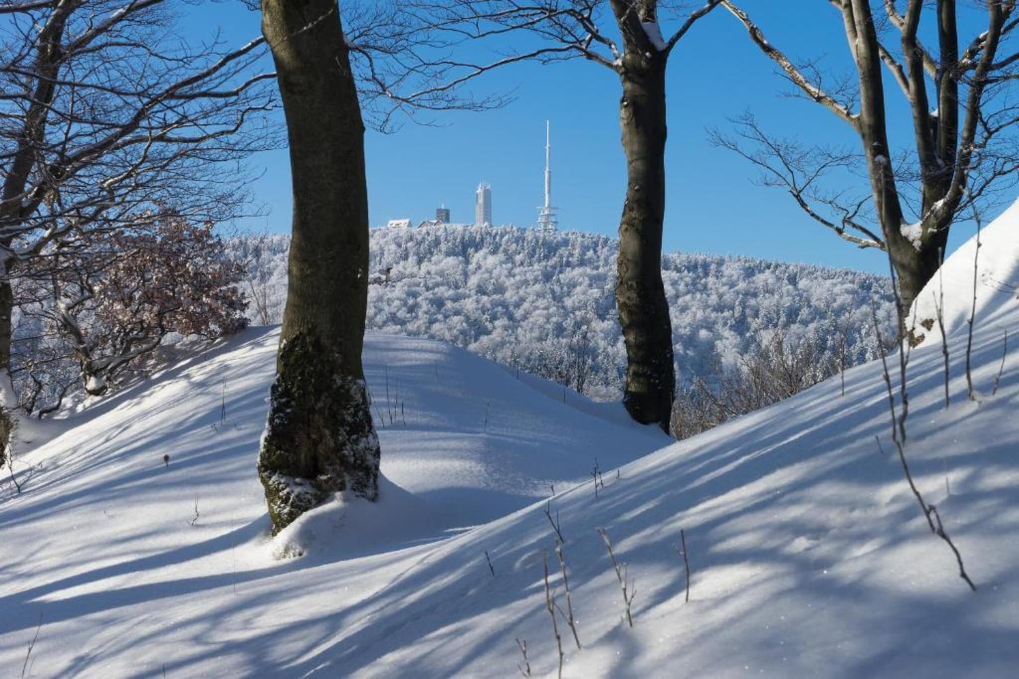 Sonnenschein-Gebied winter 20km