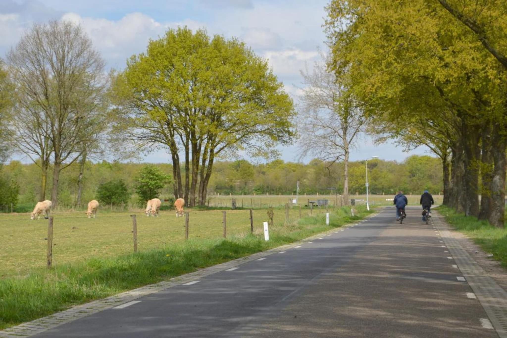 Vosseven 17 Wezel-Gebieden zomer 20km