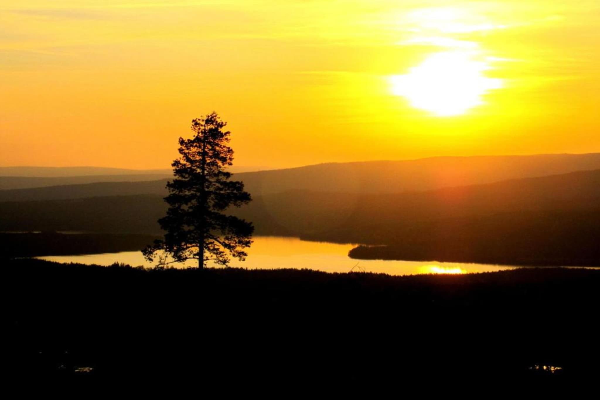 Letafors Herrgård-Gebieden zomer 20km