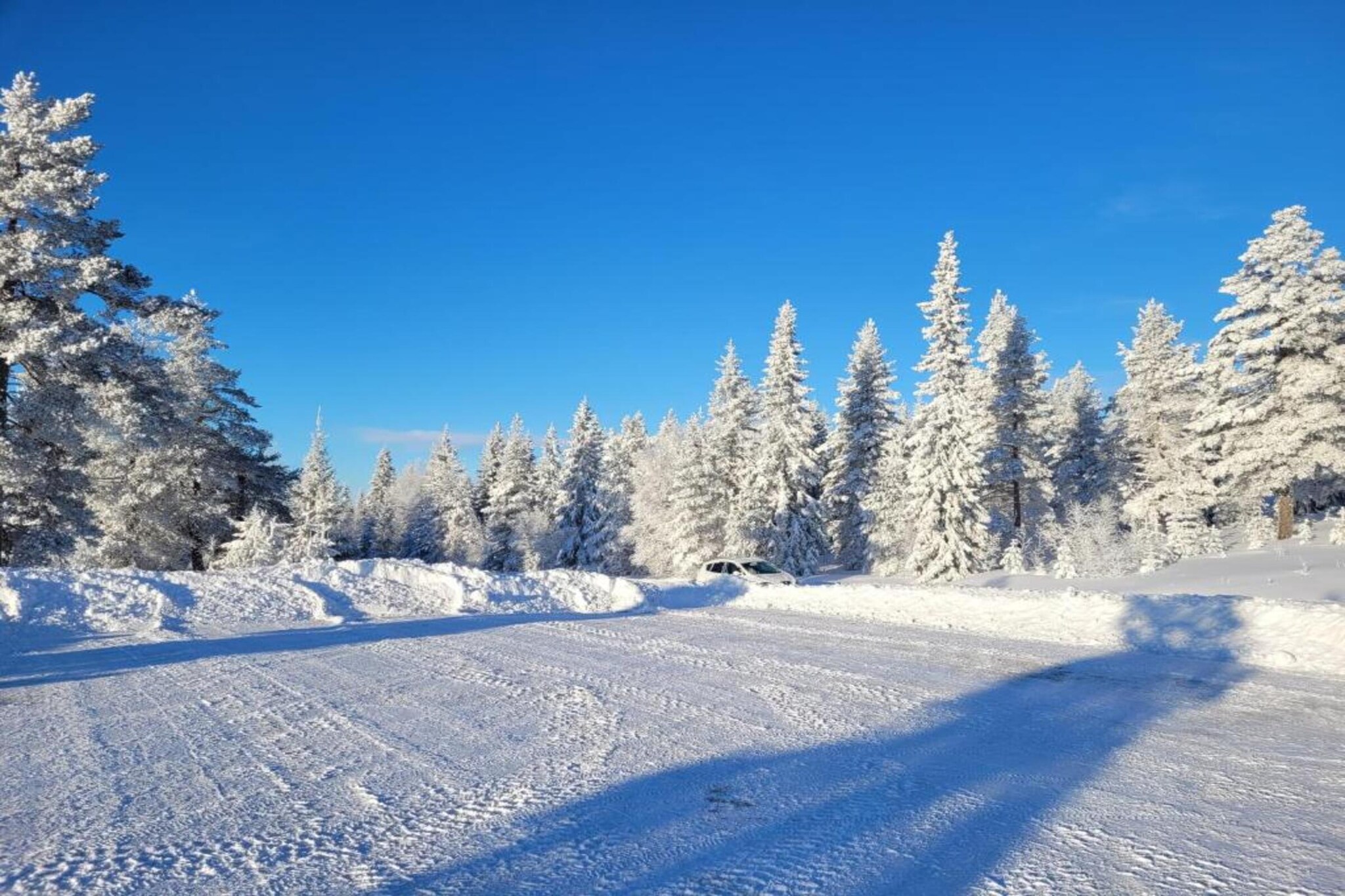 Letafors Herrgård-Gebied winter 20km