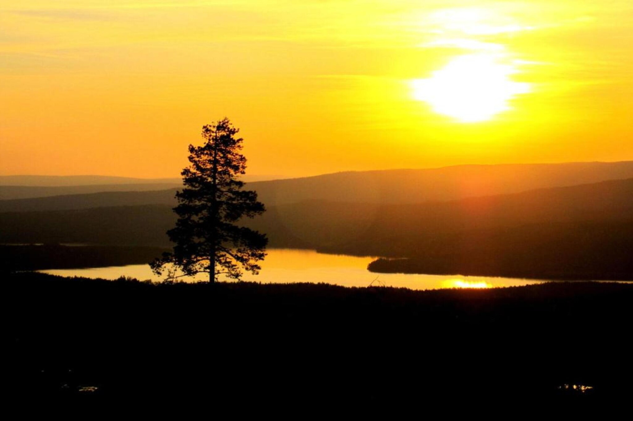 Letafors Herrgård-Areas summer 20km