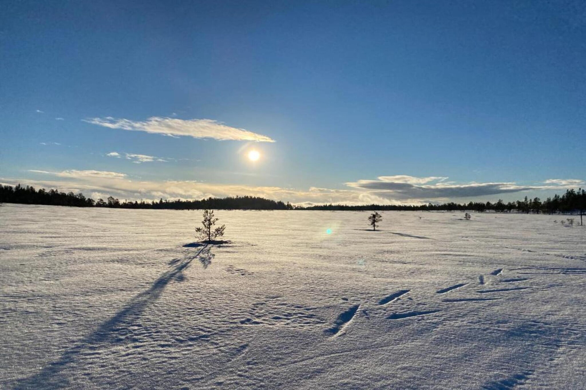 Letafors Herrgård-Area winter 20km