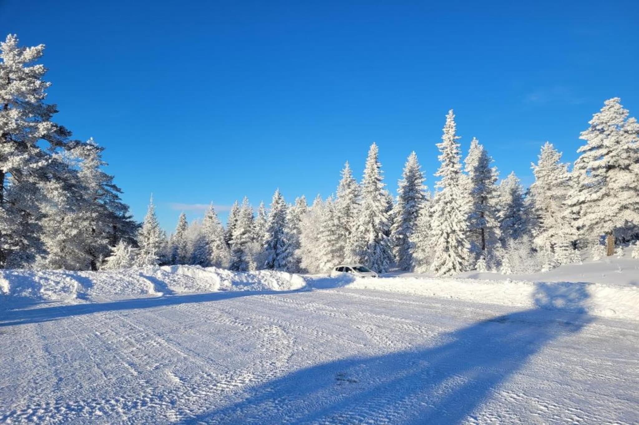 Letafors Herrgård-Gebied winter 20km