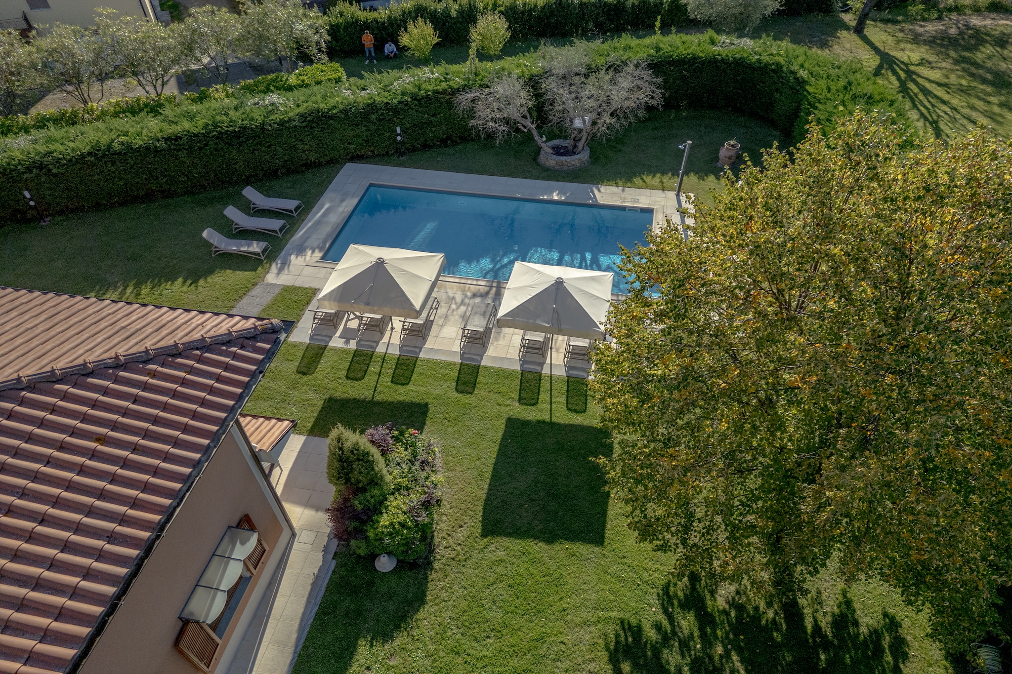 Pool Of House