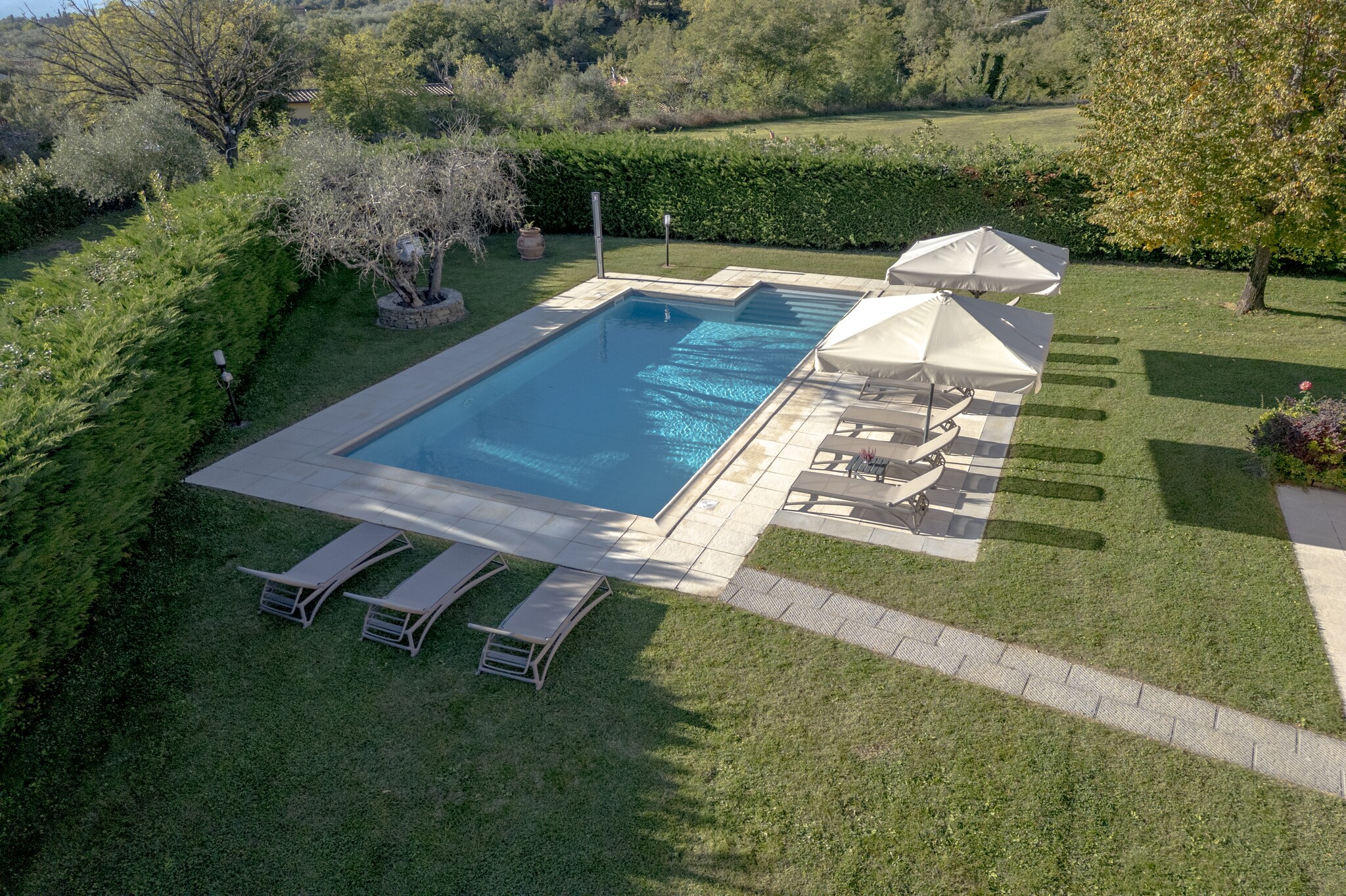 Pool Of House