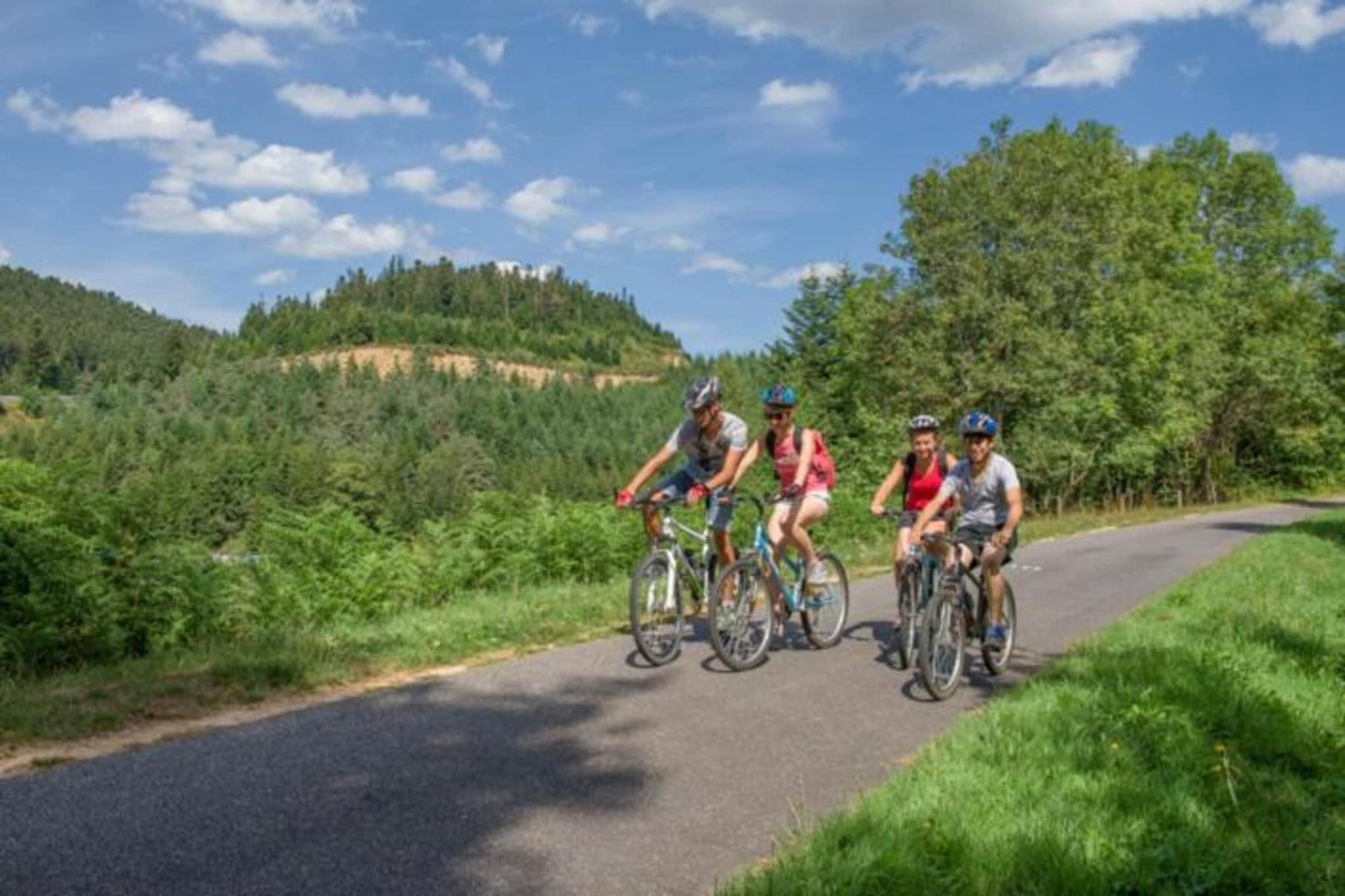 Maison de vacances - St Pierre Sur Doux-Gebieden zomer 20km