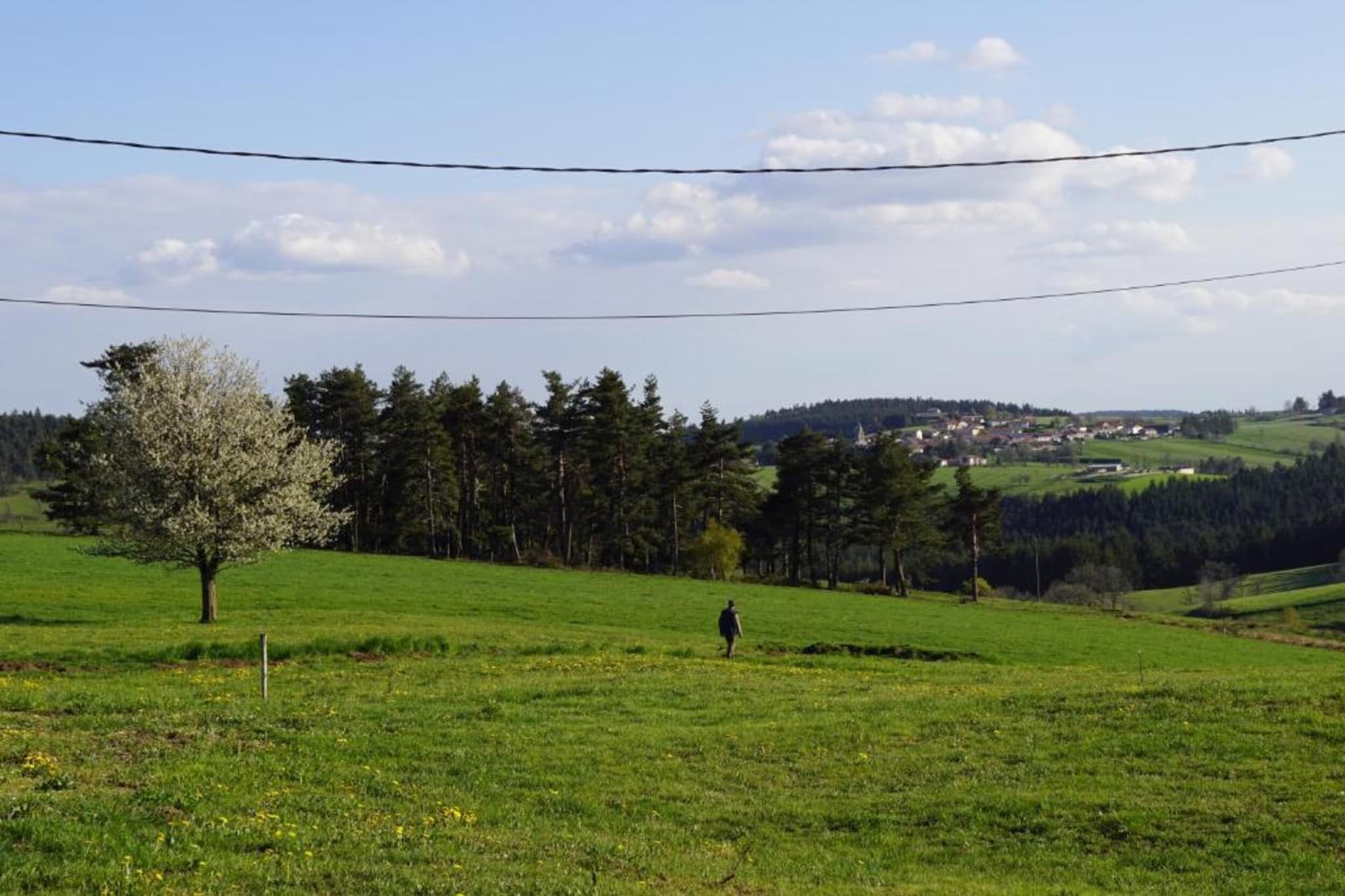 Maison de vacances - St Pierre Sur Doux-Gebieden zomer 20km