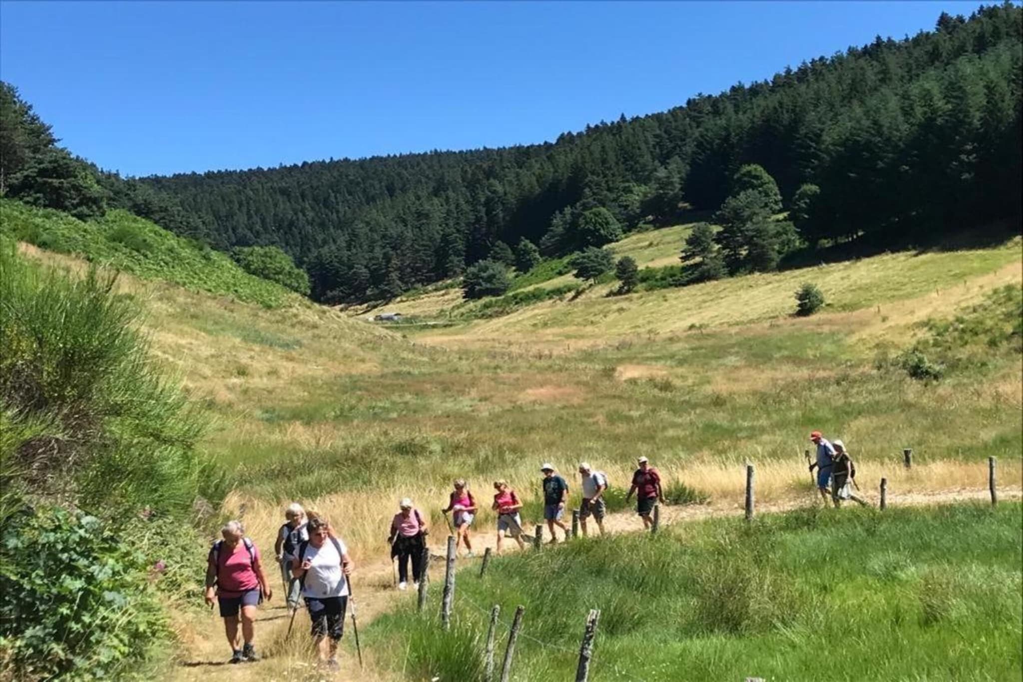 Maison de vacances - St Pierre Sur Doux-Gebieden zomer 20km