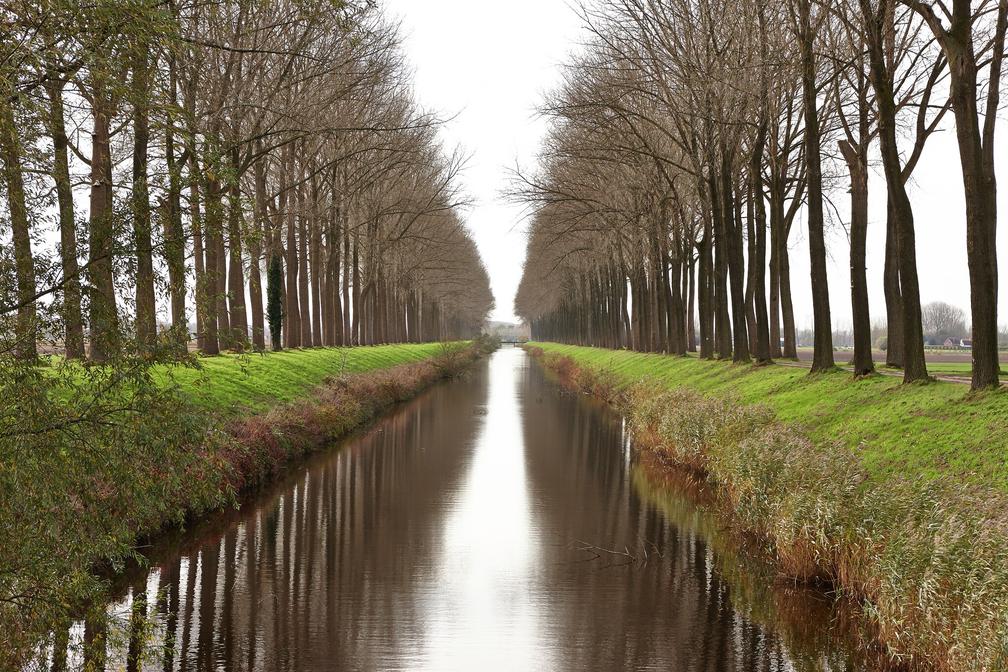Vakantiehuis Sint-Laureins max. 6 personen 3 slaapkamers #25