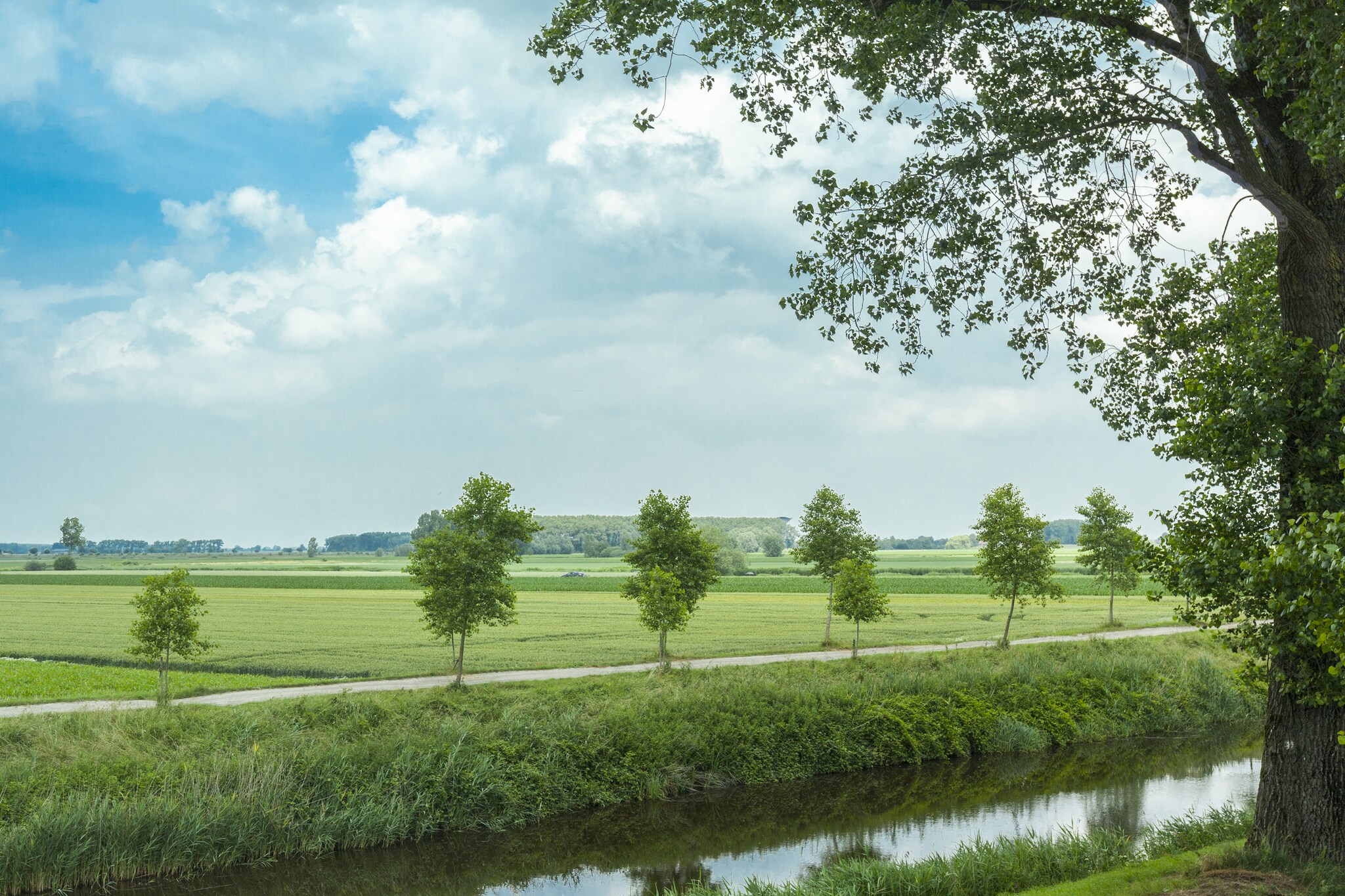 Vakantiehuis Sint-Laureins max. 6 personen 3 slaapkamers #4