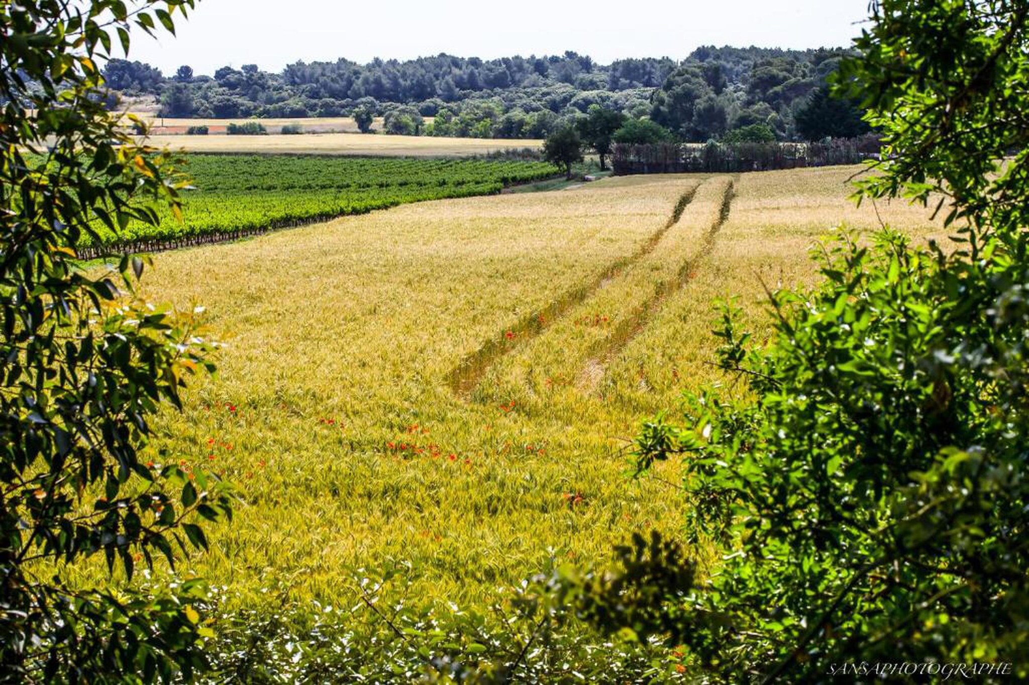 Le Domaine d'Enserune 3-Zones d'été à 20 km