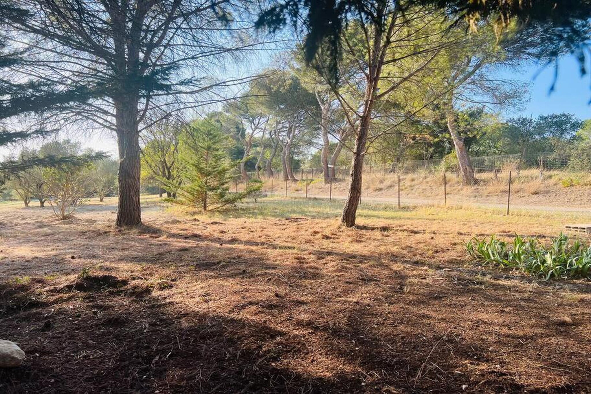 Le Domaine d'Enserune 3-Zones d'été à 20 km