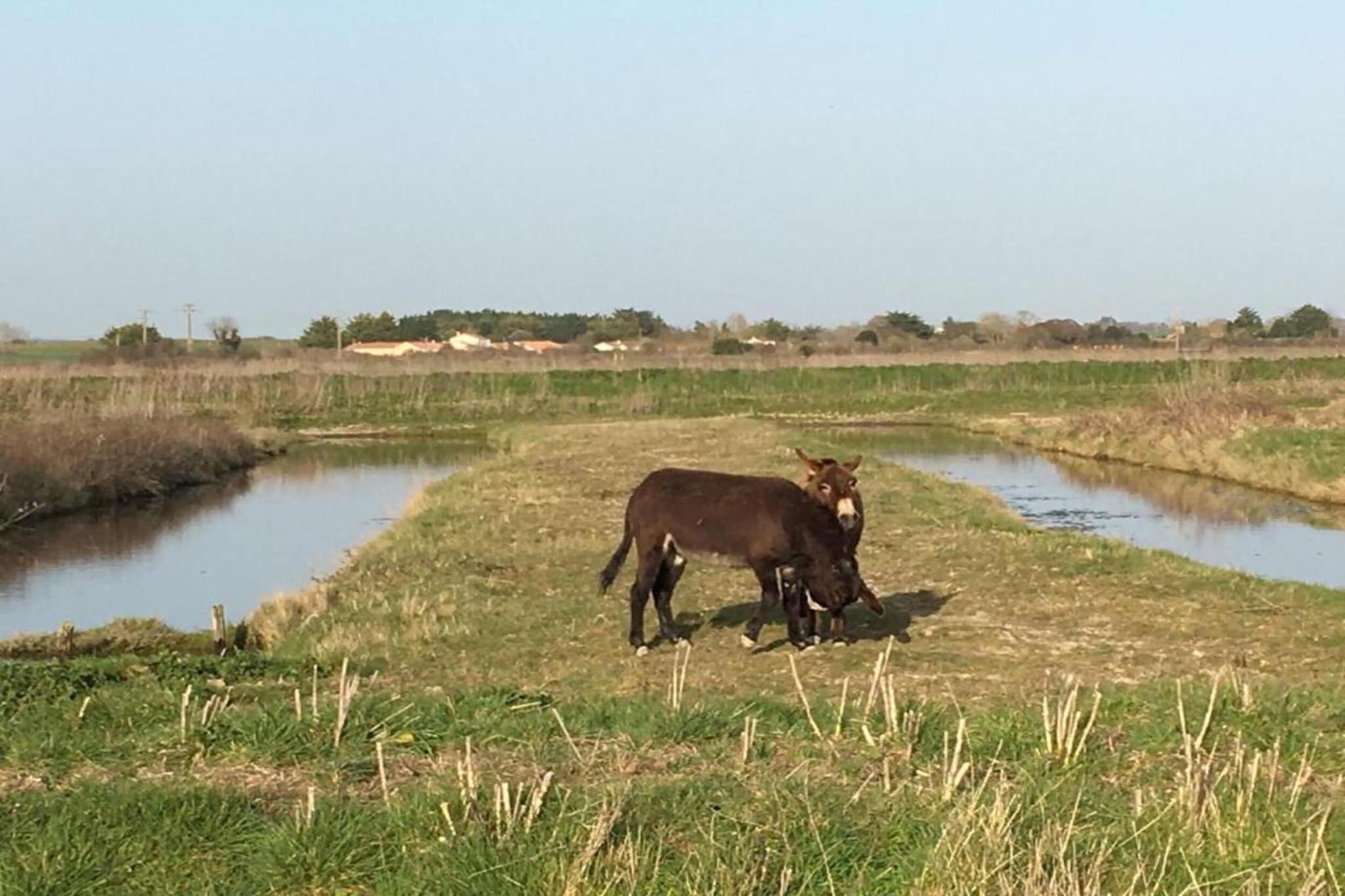 Résidence Le Village de la Mer 3-Gebiete Sommer 5 km