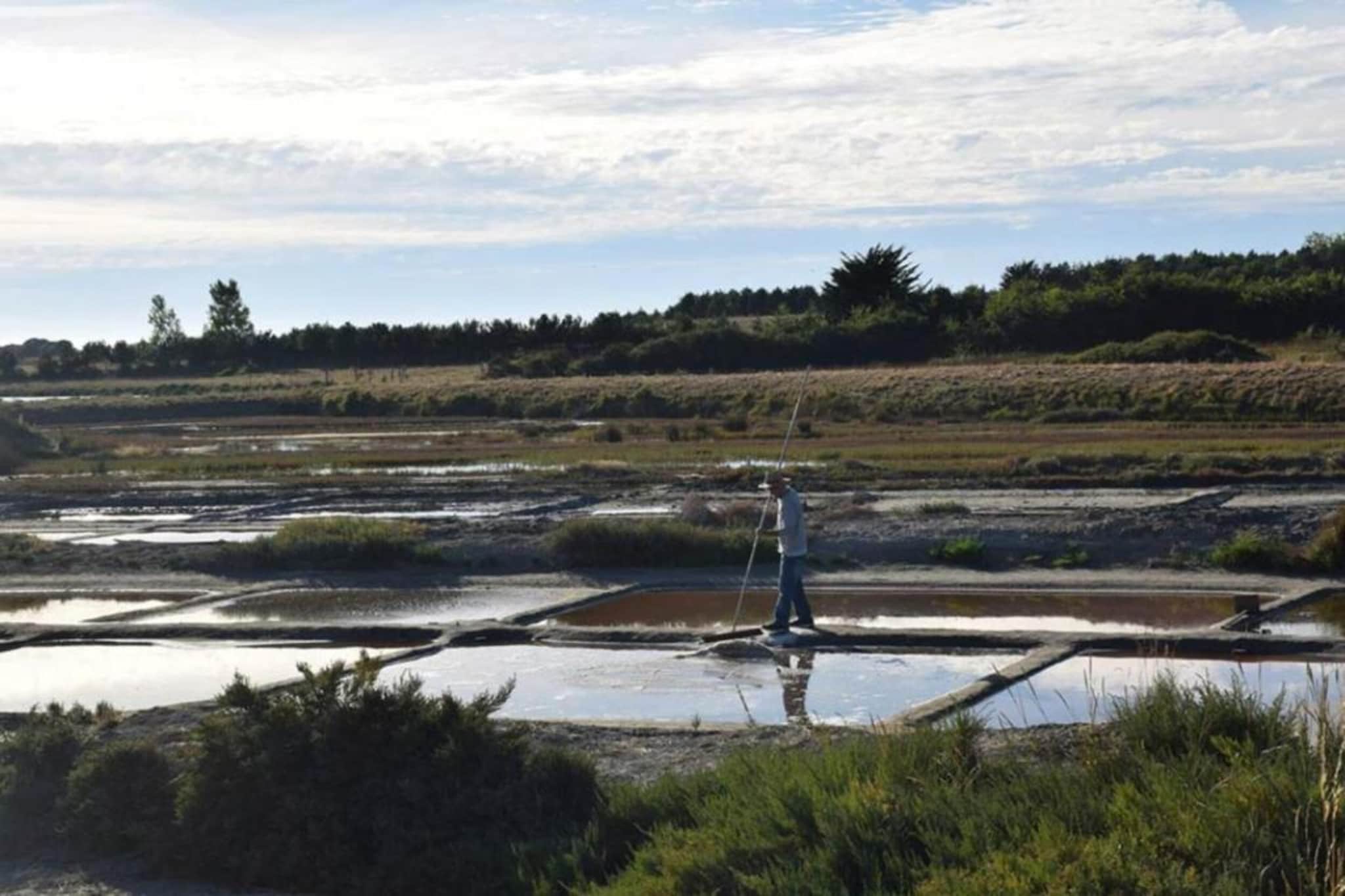 Résidence Le Village de la Mer 4-Gebieden zomer 5km