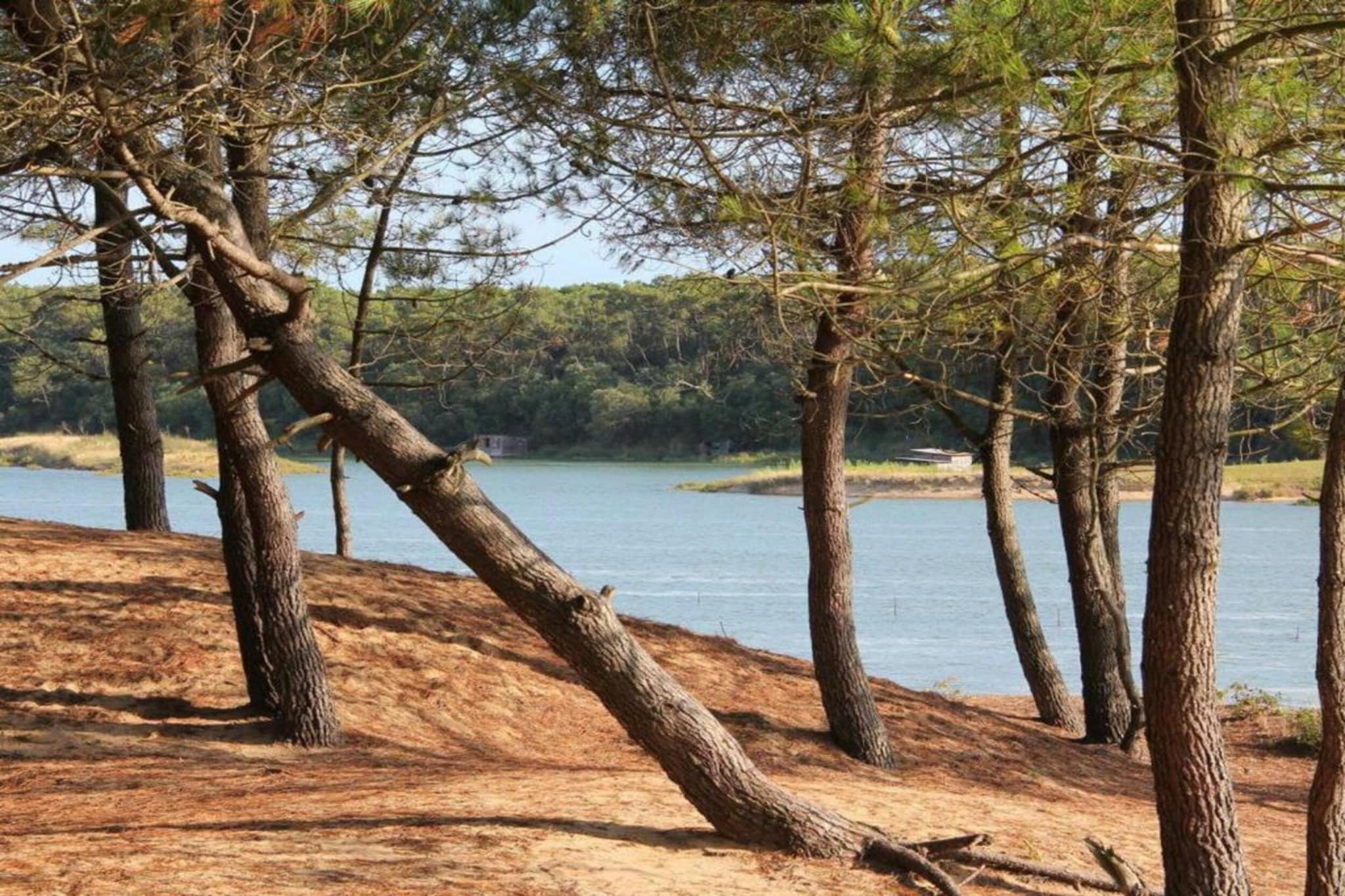 Résidence Le Village de la Mer 4-Gebieden zomer 5km
