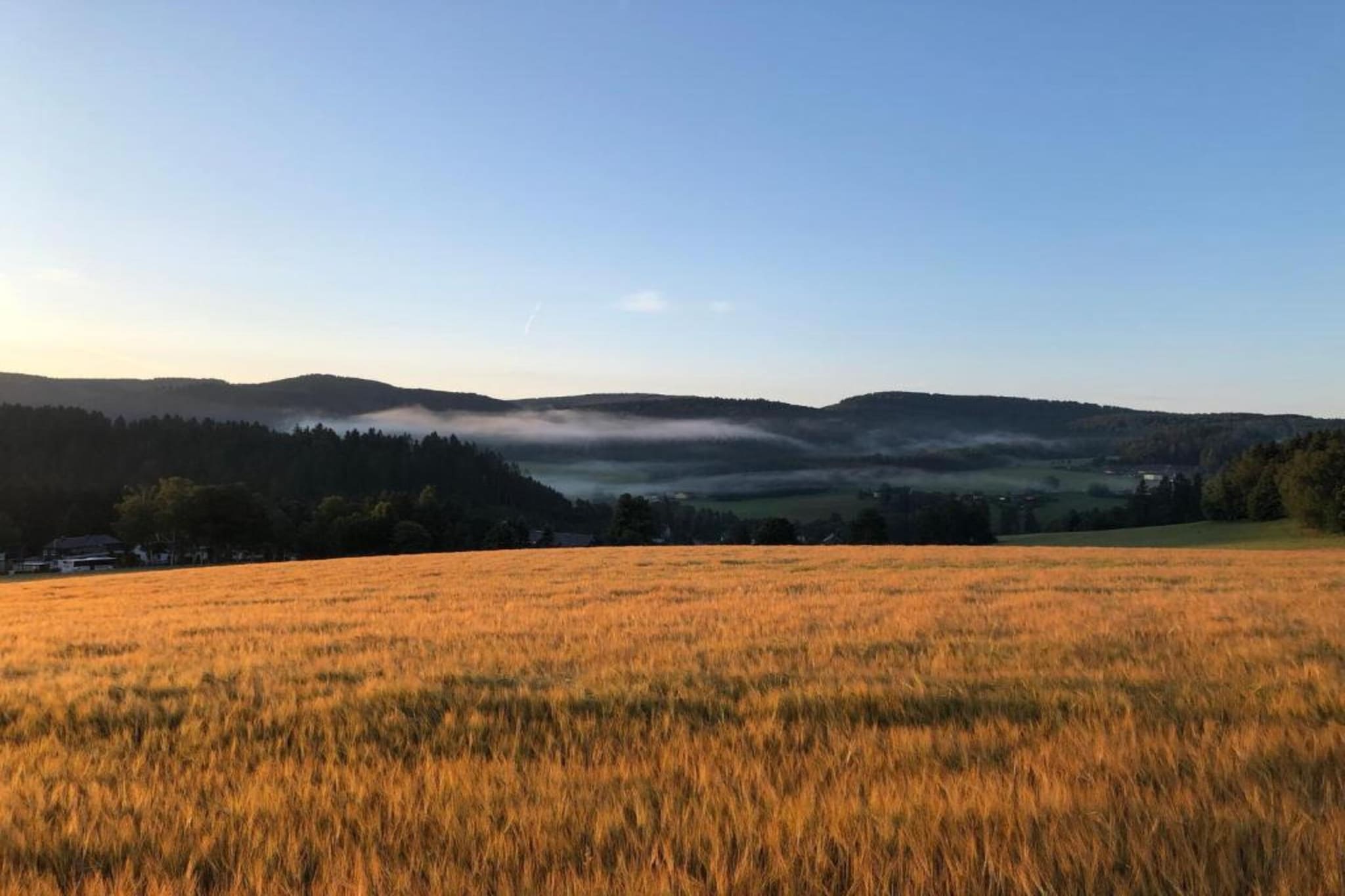 Ferienwohnung an der Talsperre Rauschenbach-Gebieden zomer 20km