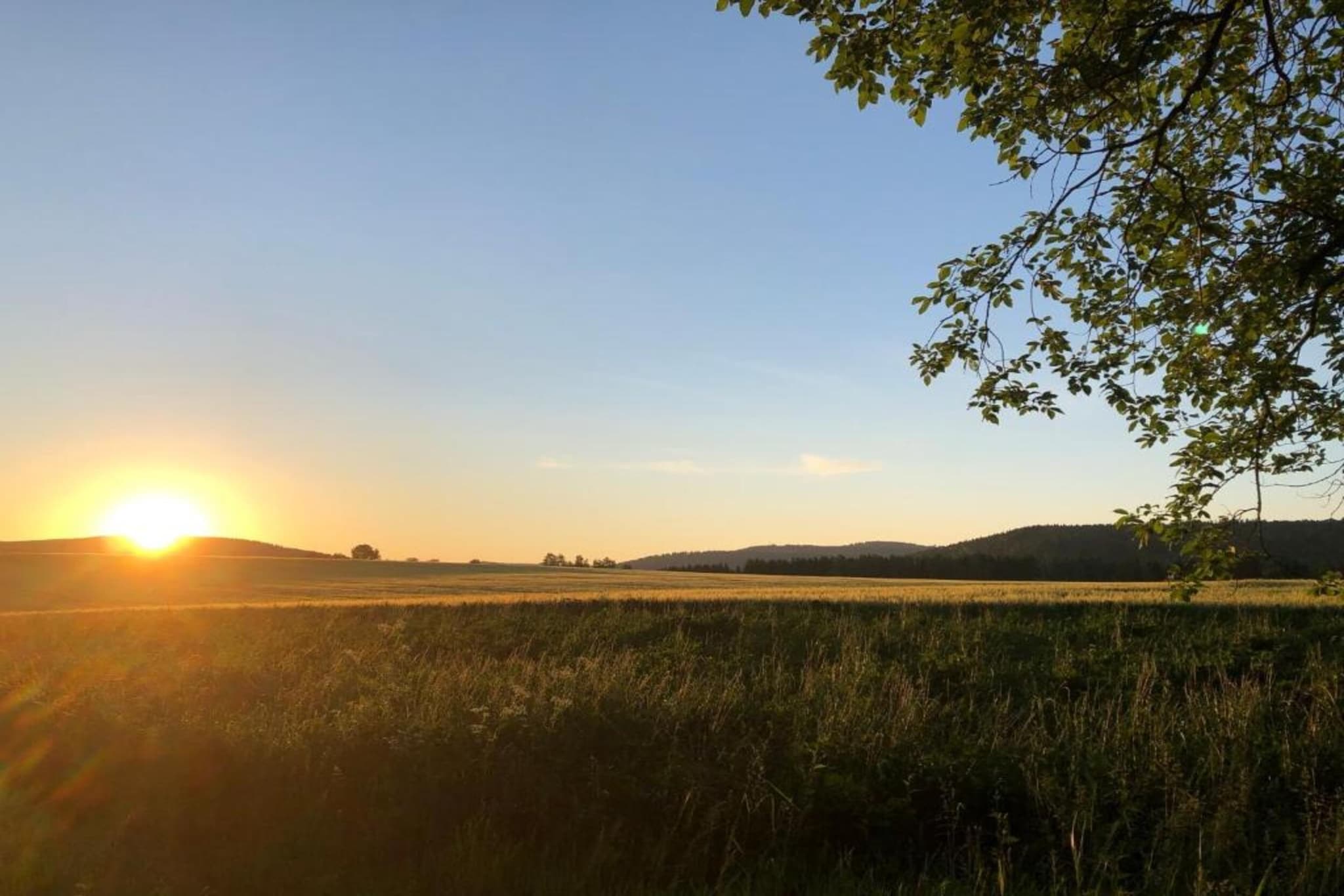 Ferienwohnung an der Talsperre Rauschenbach-Gebieden zomer 20km