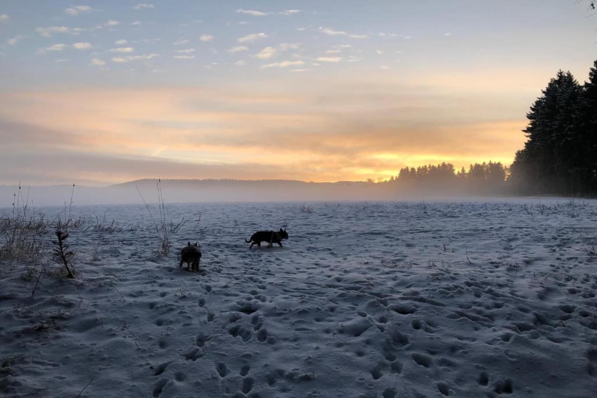Ferienwohnung an der Talsperre Rauschenbach-Gebied winter 20km