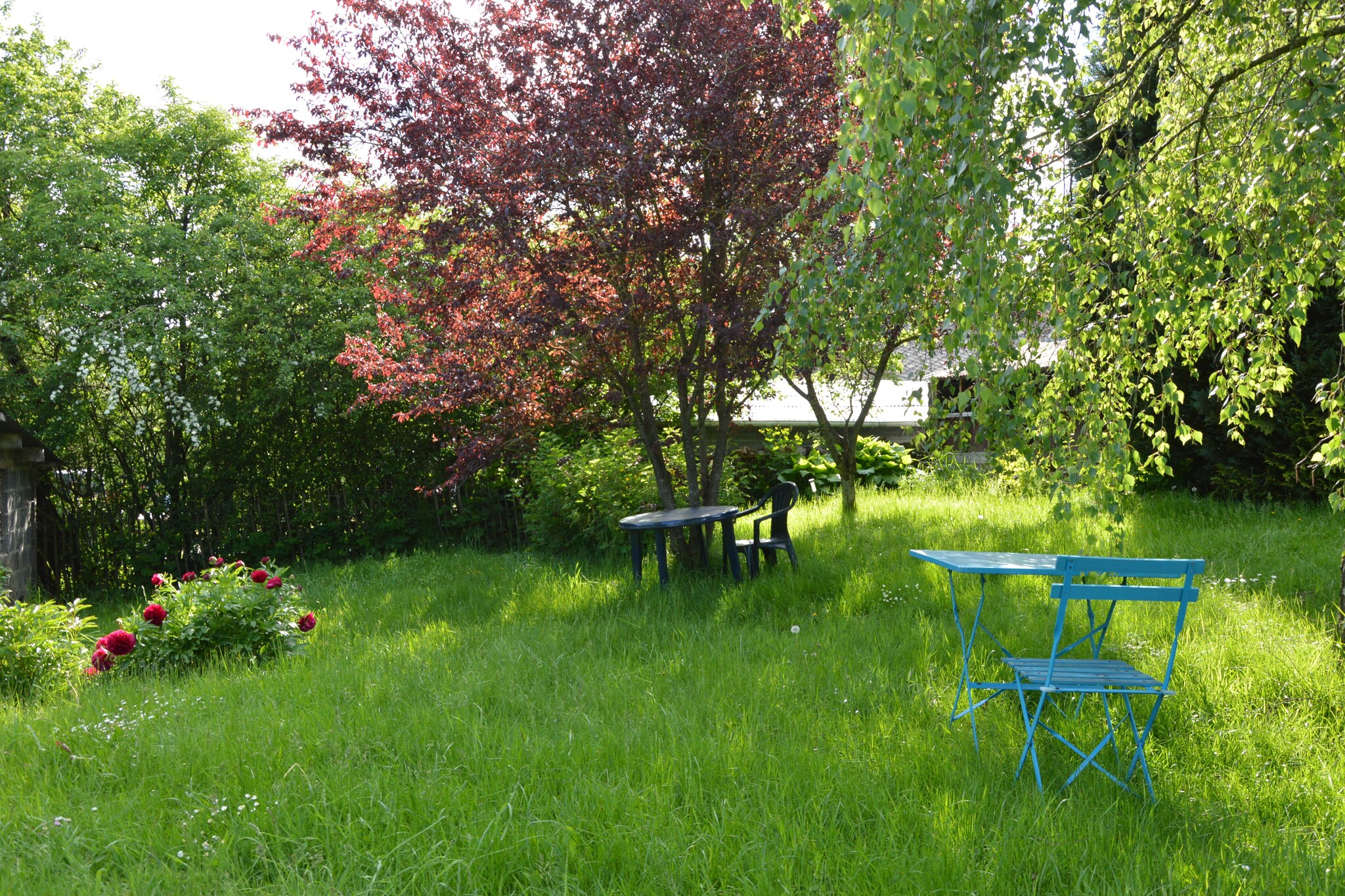 Vakantiehuis Montleban max. 8 personen 3 huisdieren 4 slaapkamers #21