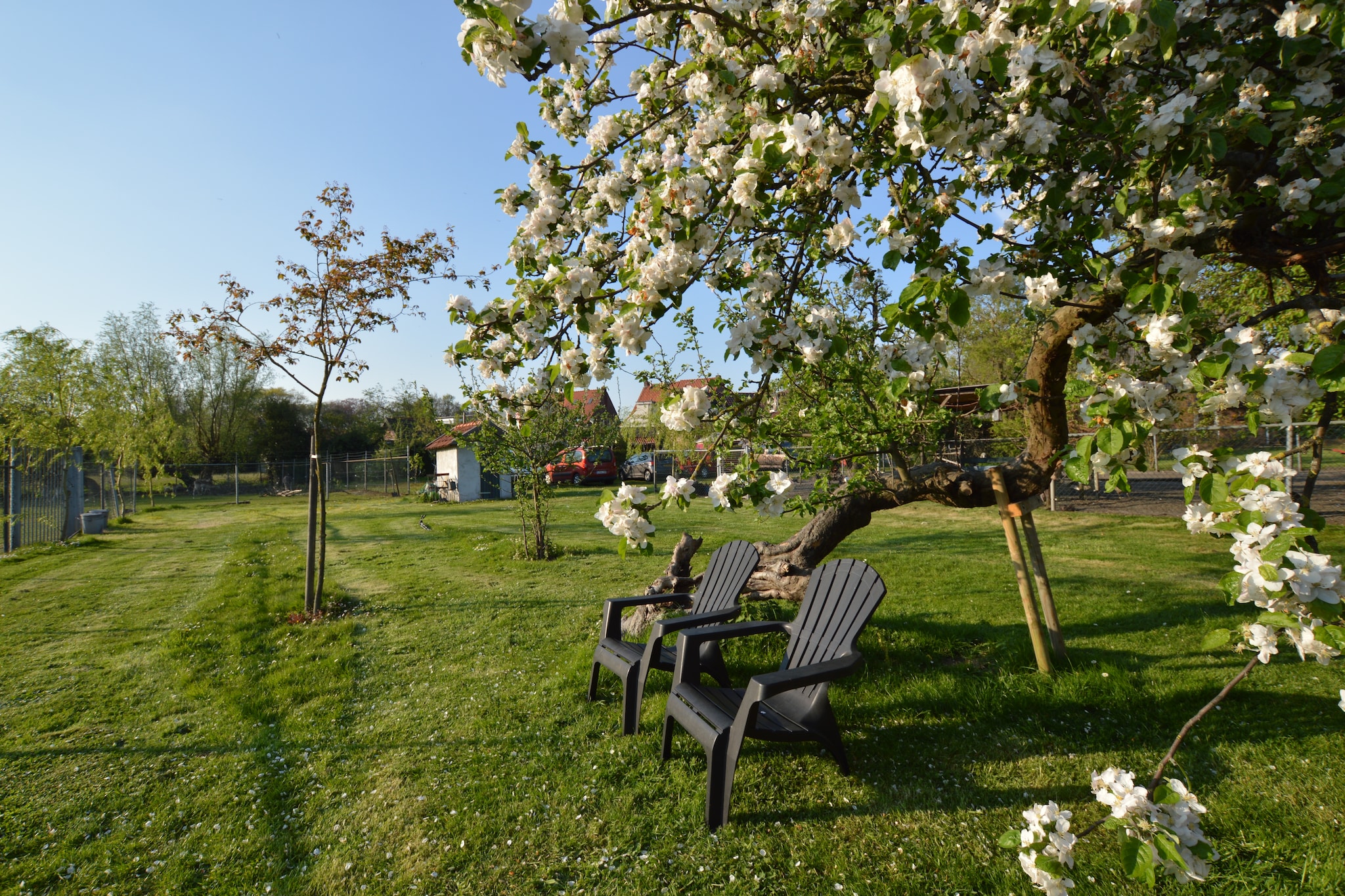 Ferienhaus in Bergen op Zoom mit Garten