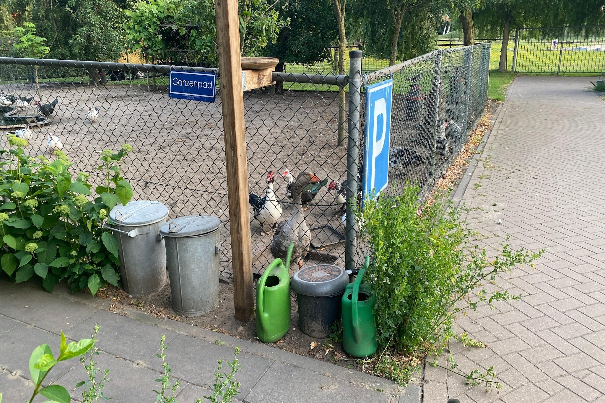 Pipowagen de Weideblick-Faciliteiten
