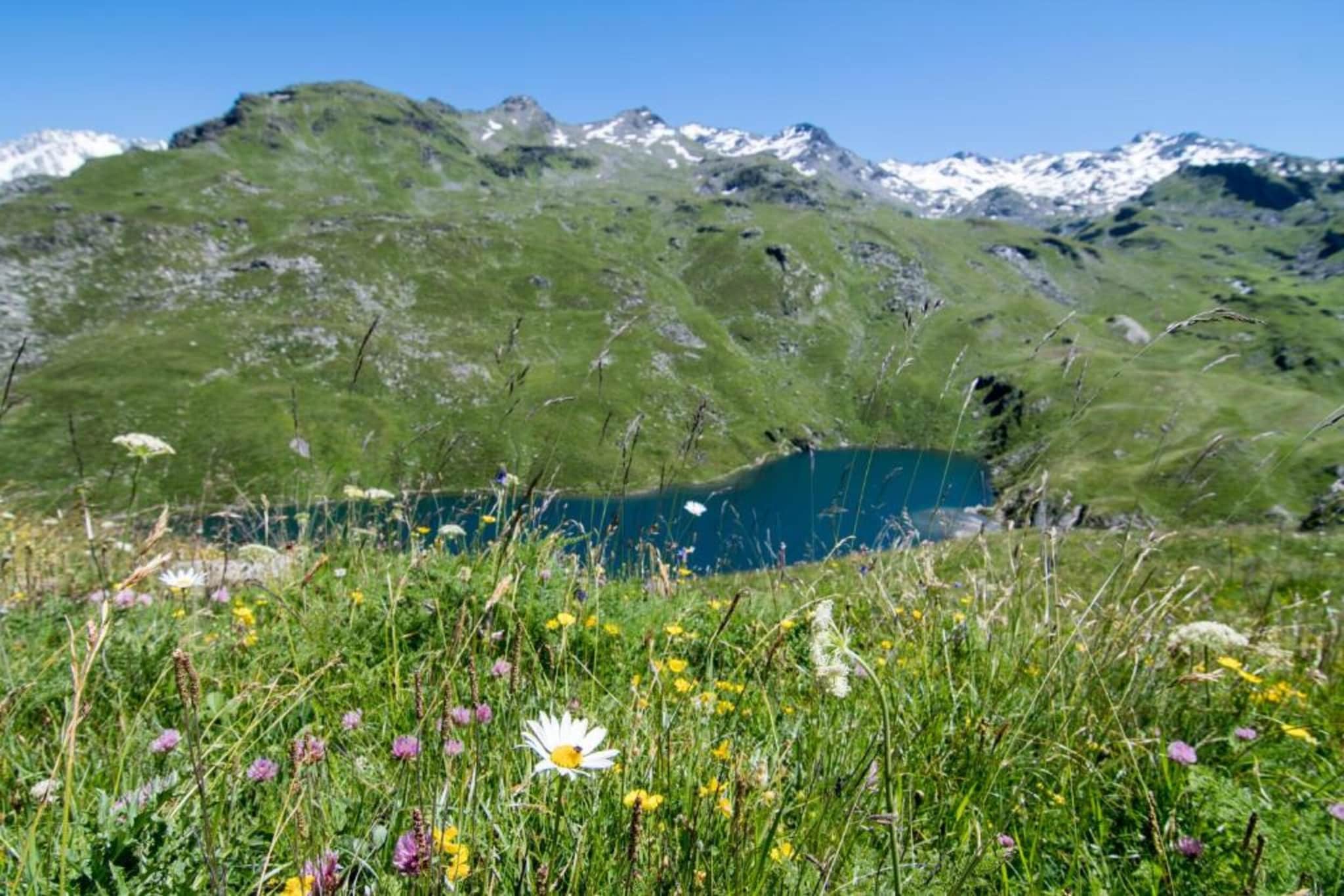 Chalet Altitude Val 2400 2-Gebieden zomer 20km