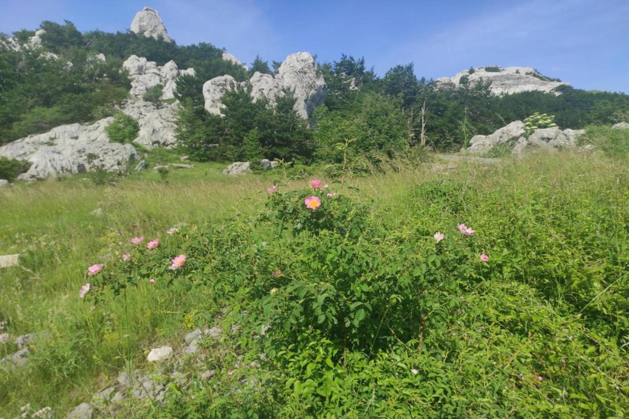 Holiday house Lovinac-Zones d'été à 5 km