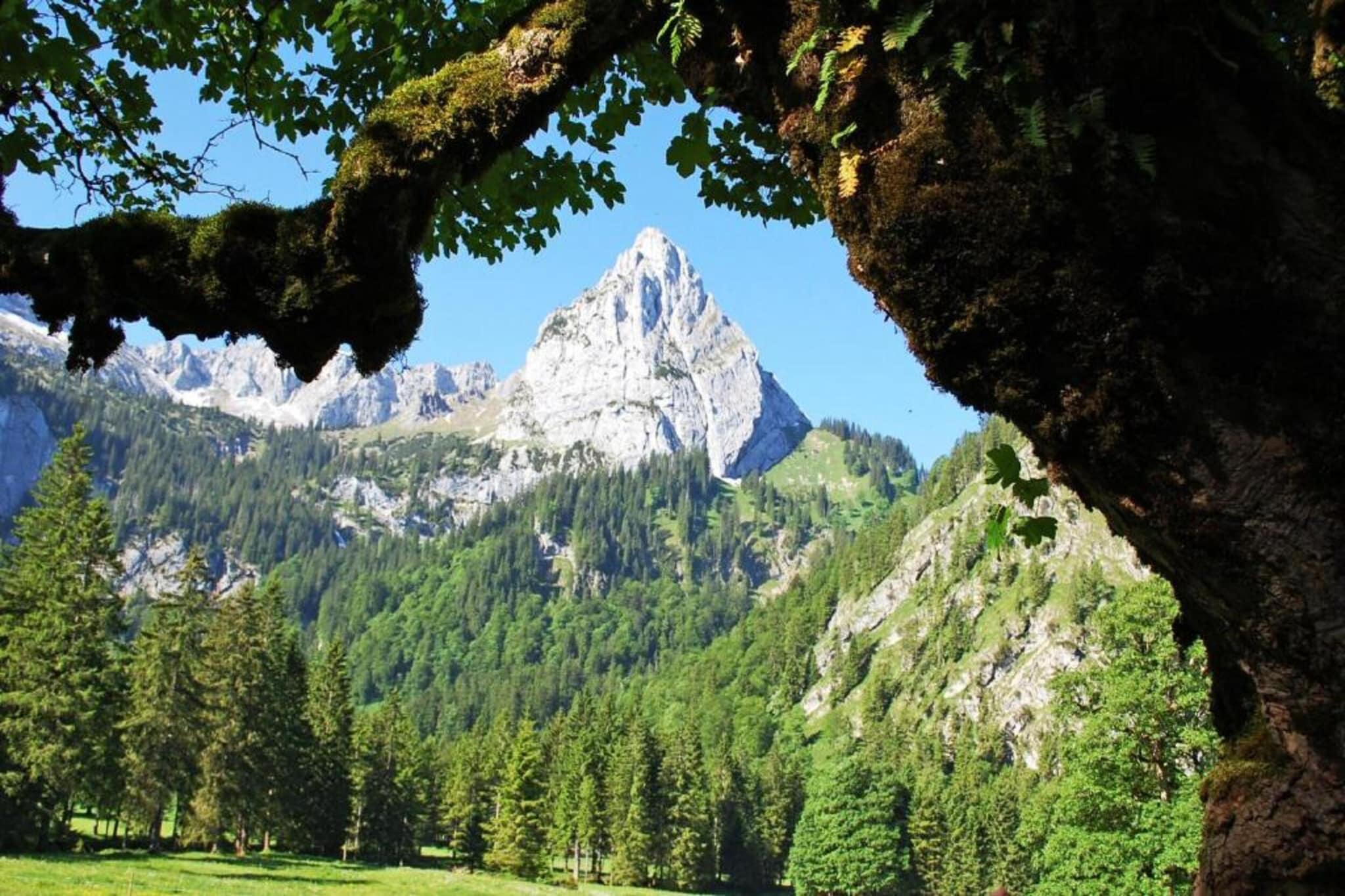 Allgäu-Gebiete Sommer 20 km