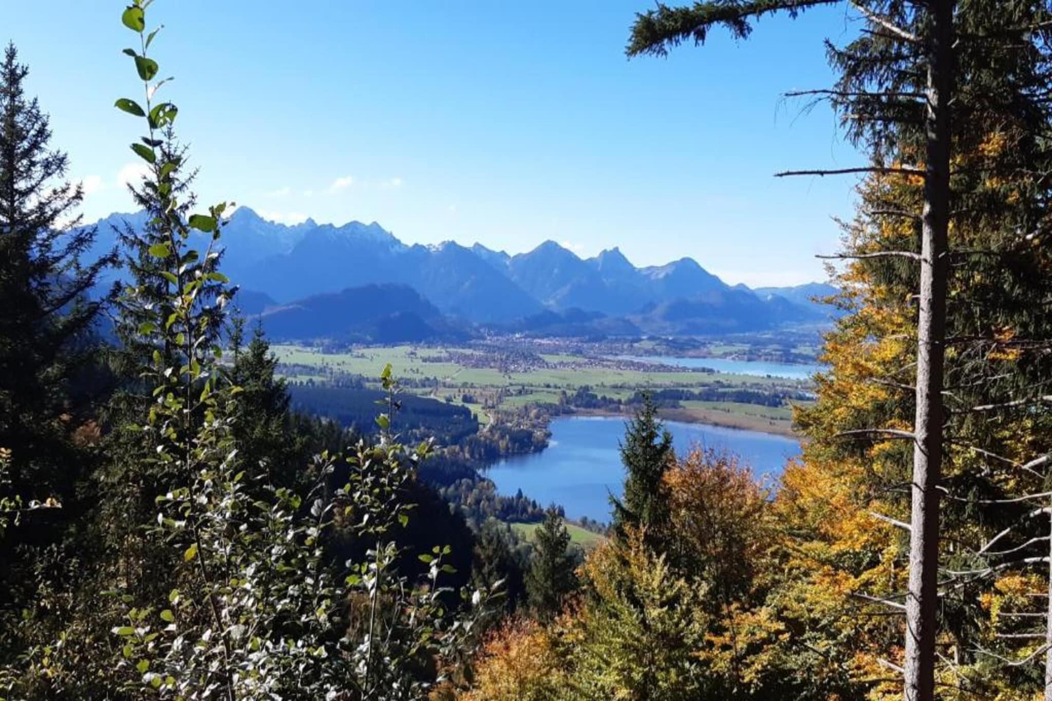 Allgäu-Gebiete Sommer 20 km