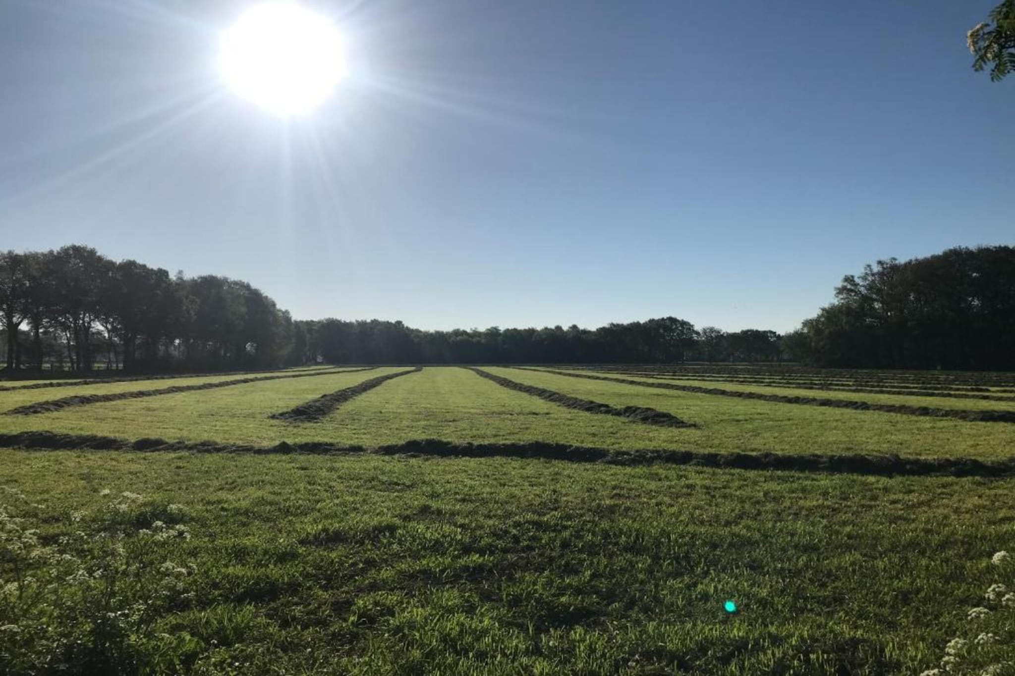 't Kokhuus-Gebieden zomer 20km