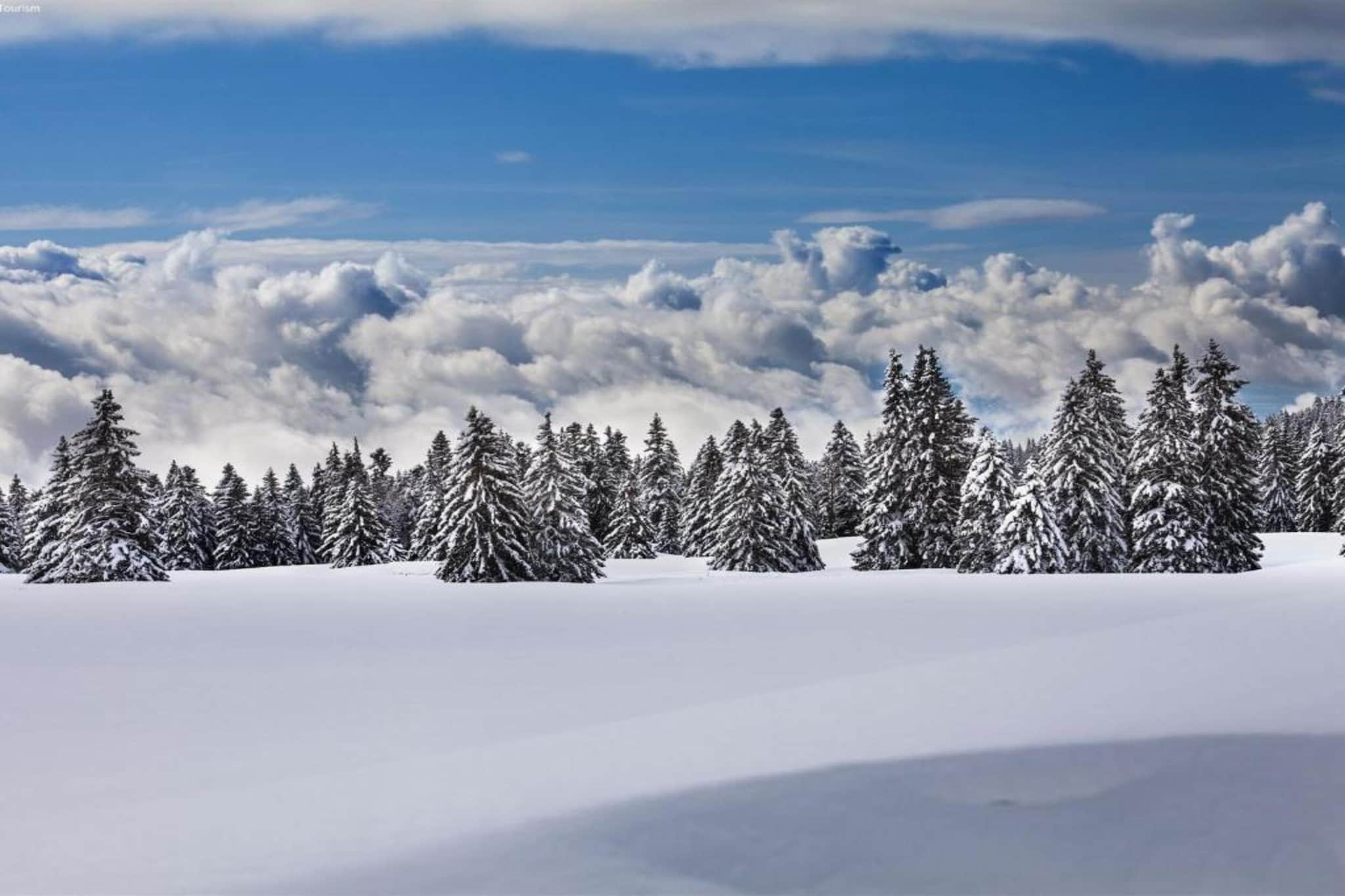 Sparrhorn-Zone d'hiver à 5 km