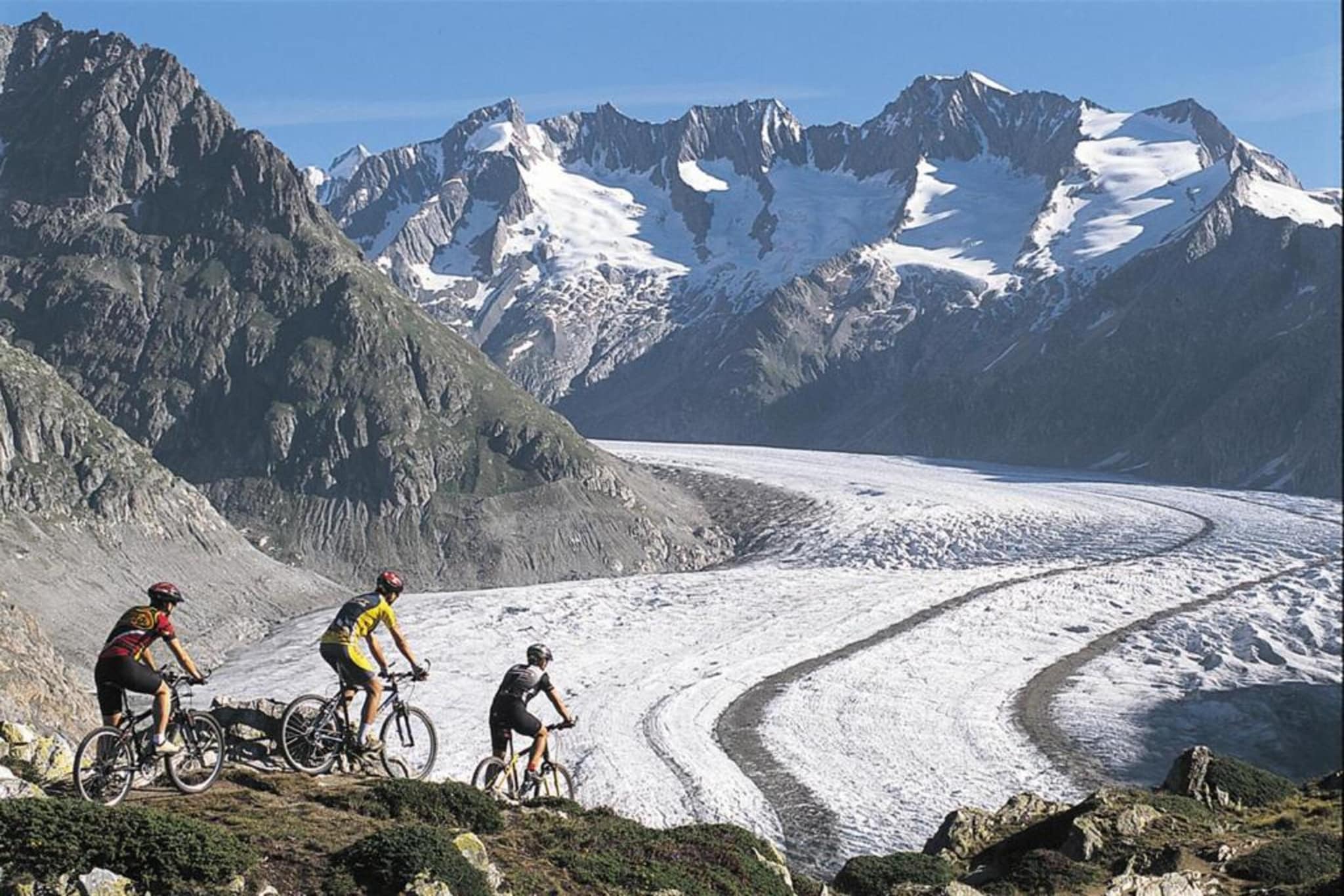 Sparrhorn-Zone d'hiver à 5 km
