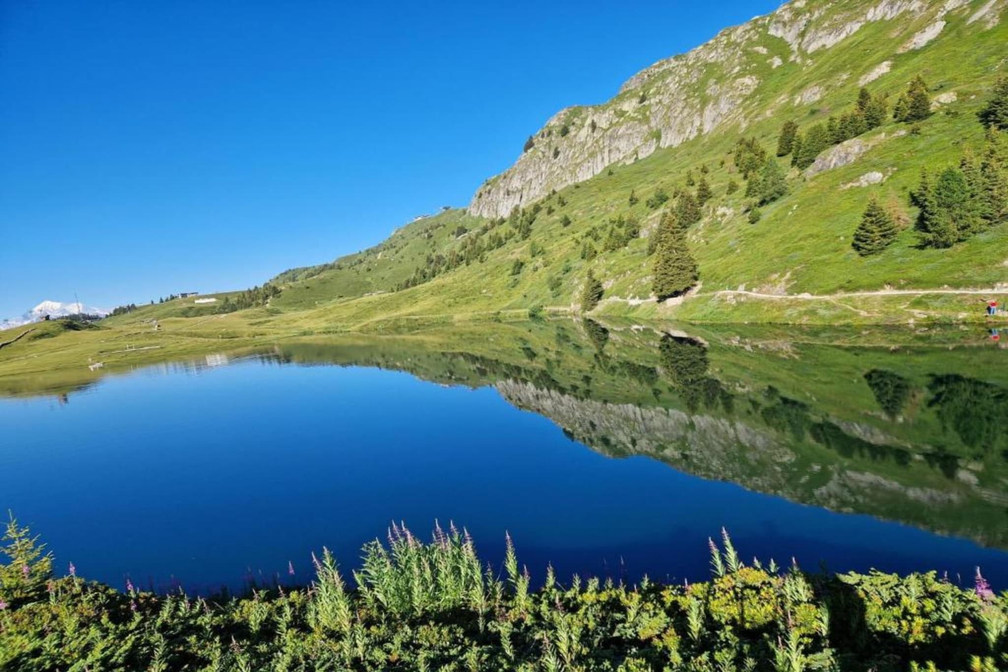 Sparrhorn-Zones d'été à 5 km