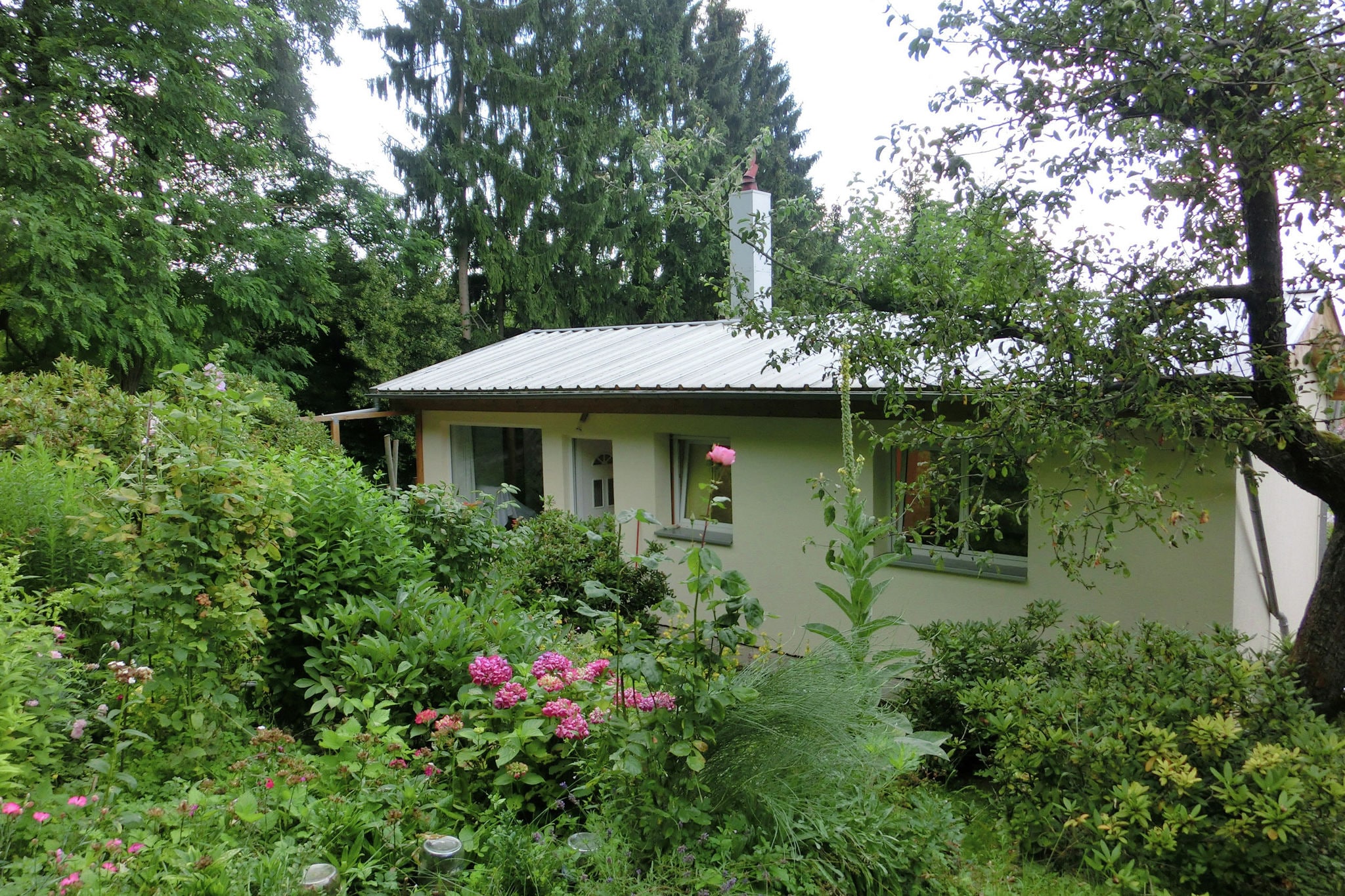 Mooi vakantiehuis in Harz met een omheinde tuin en terras