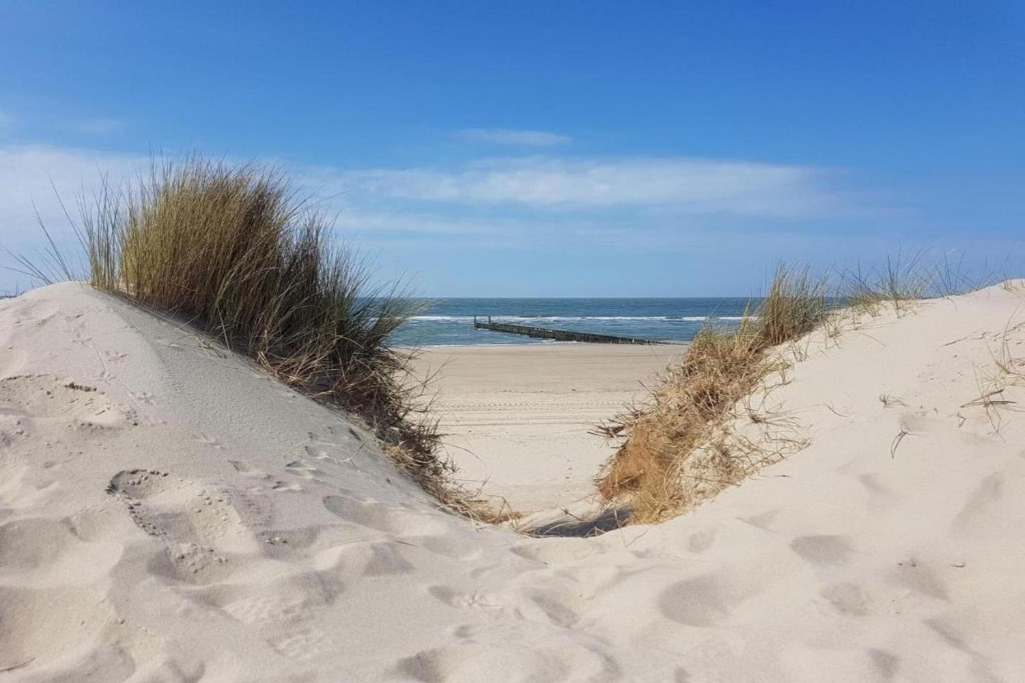 Résidence Wijngaerde 7-Areas summer 20km