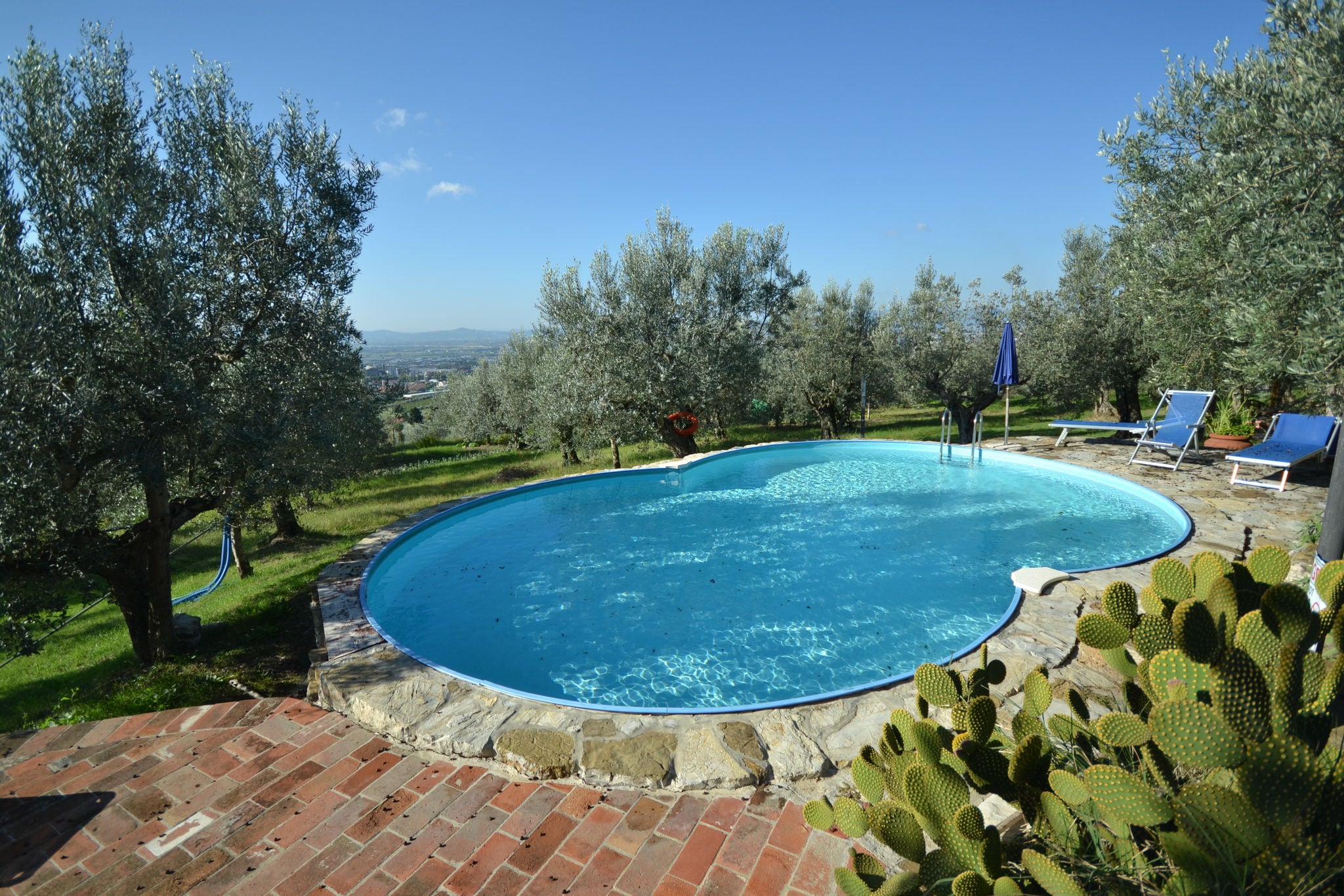 Agriturismo in natuurpark nabij Florence met prachtig zwembad tussen olijfbomen