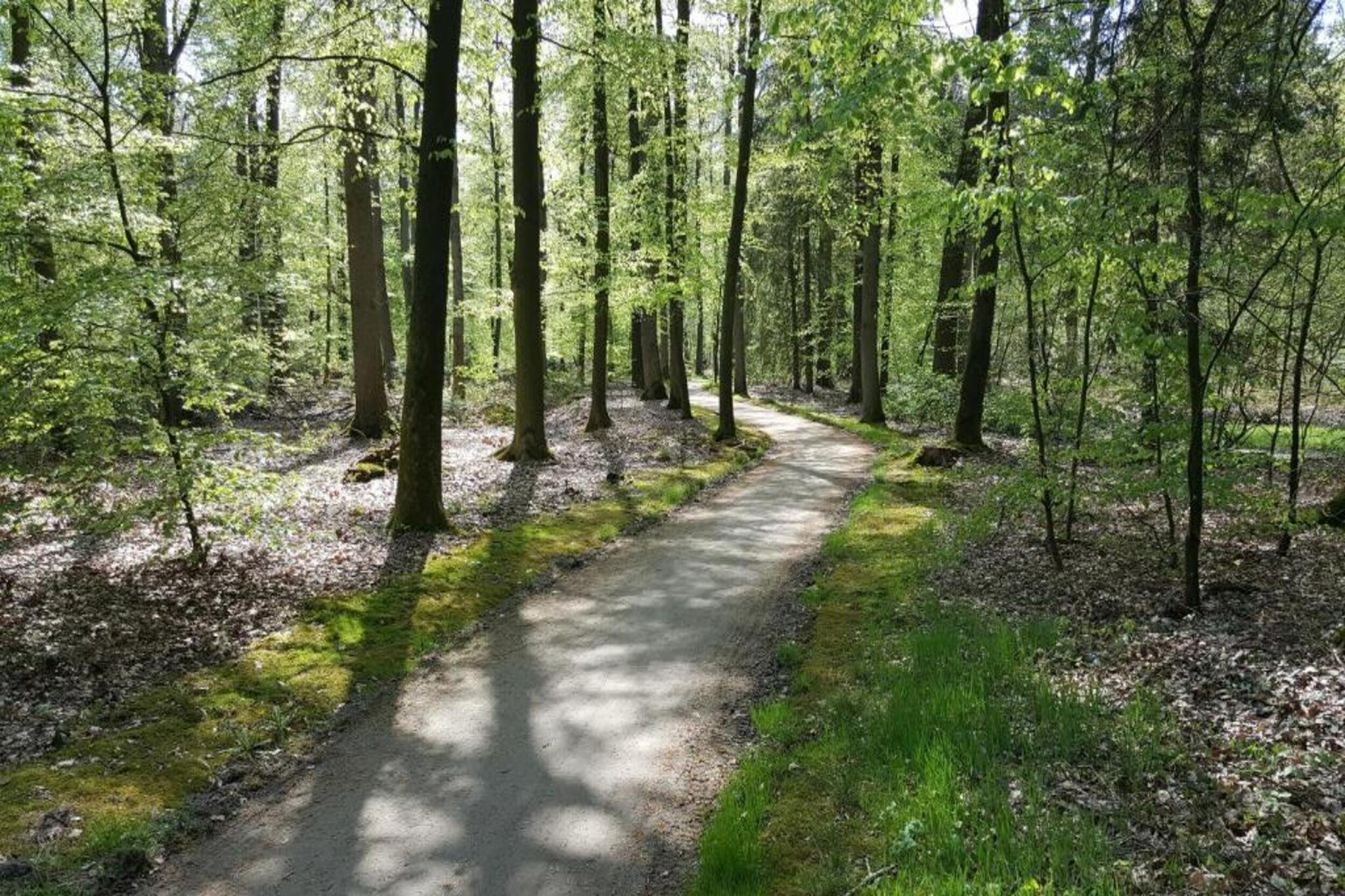 Boschhuys-Gebiete Sommer 20 km