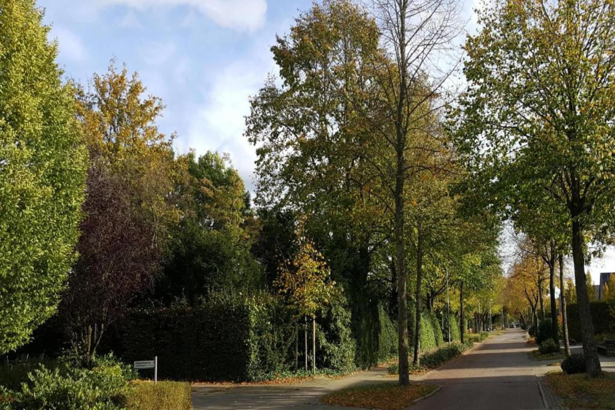 Boschhuys-Gebiete Sommer 20 km